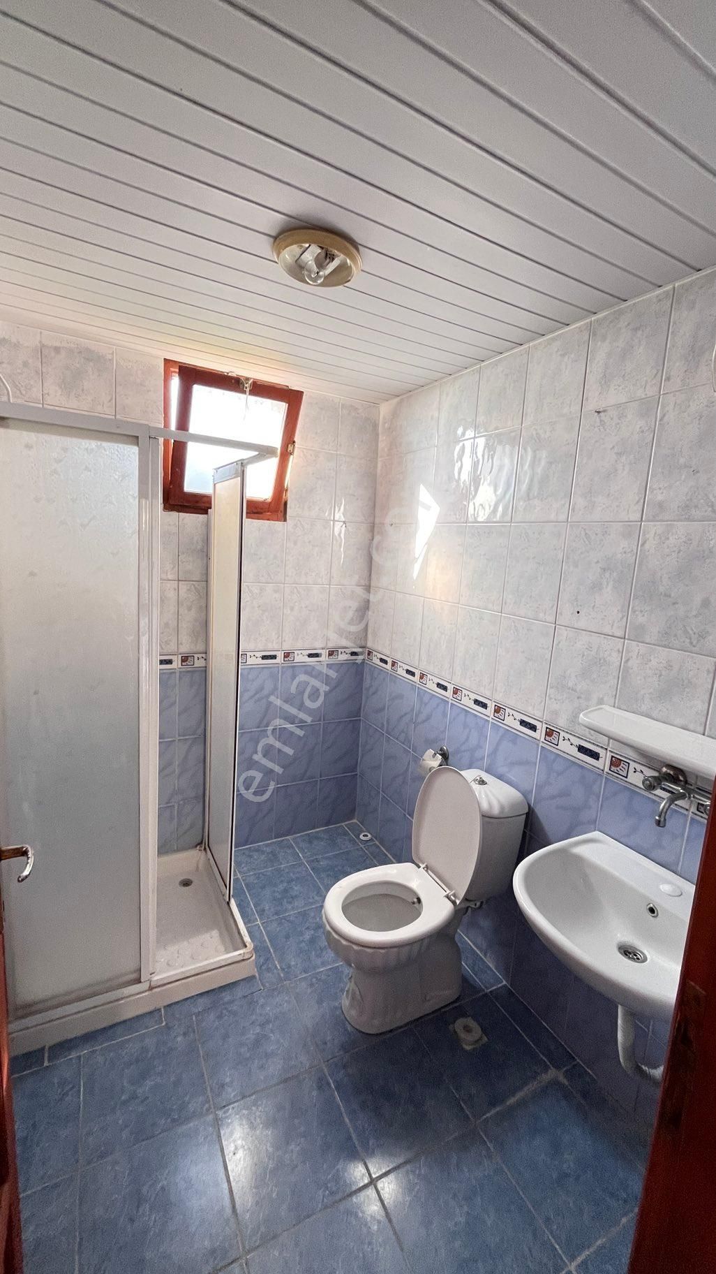 Kiralık Diare - Görsel 5