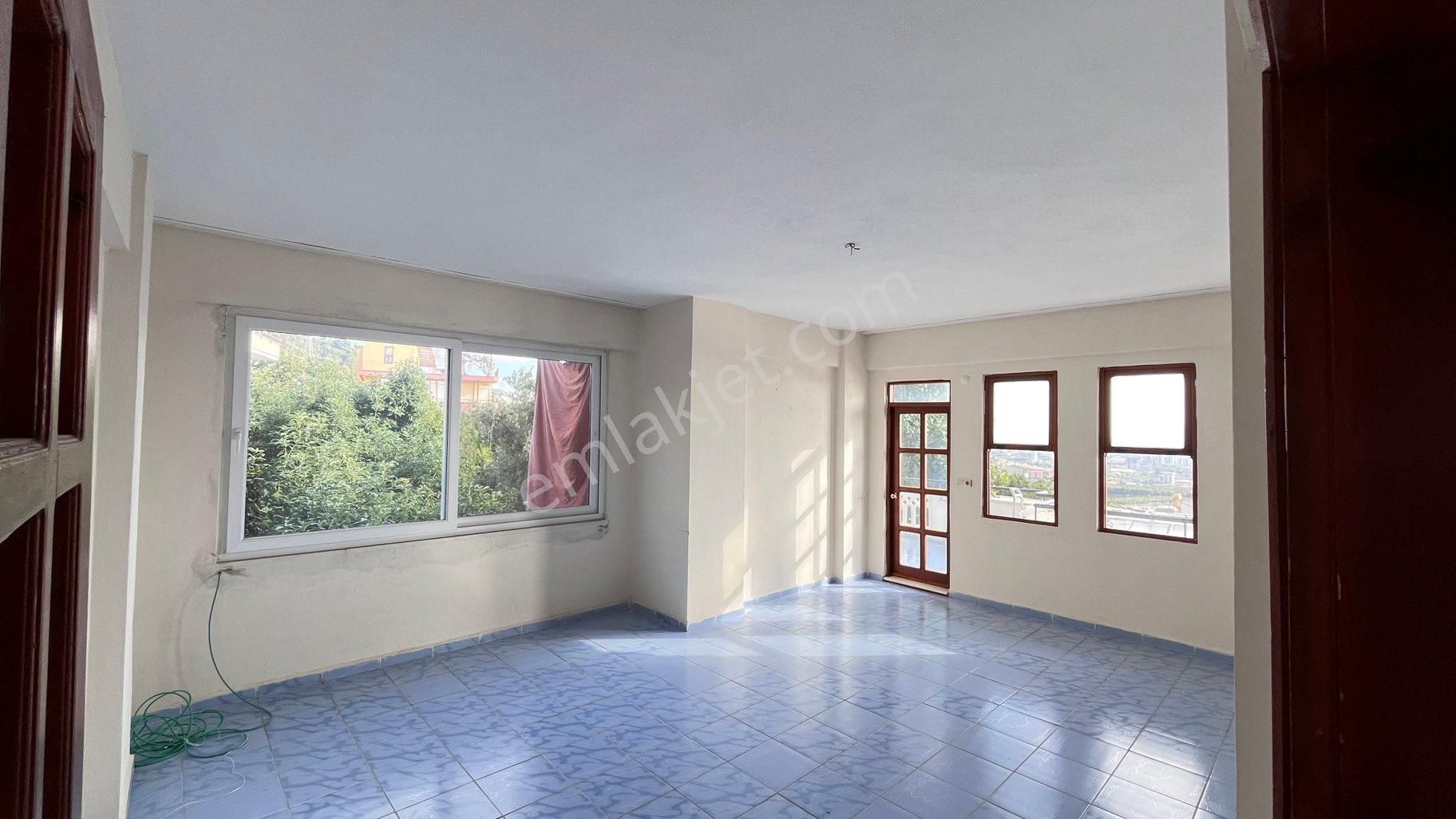 Kiralık Diare - Görsel 3