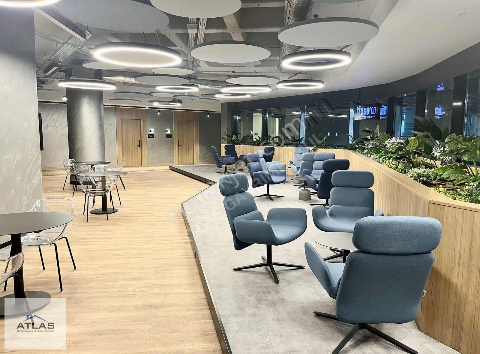 Premier Kampüs | Kurumsal Firmalar İçin Mobilyalı 2+1 Ofis 155m² - Görsel 6