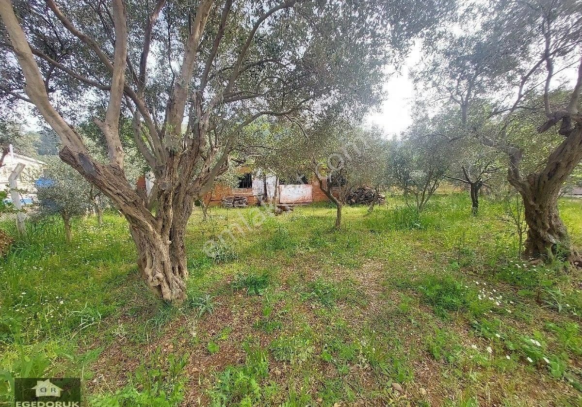 İzmir Kemalpaşa Yukarıkızılcada Satılık 5+1 Vılla - Görsel 30