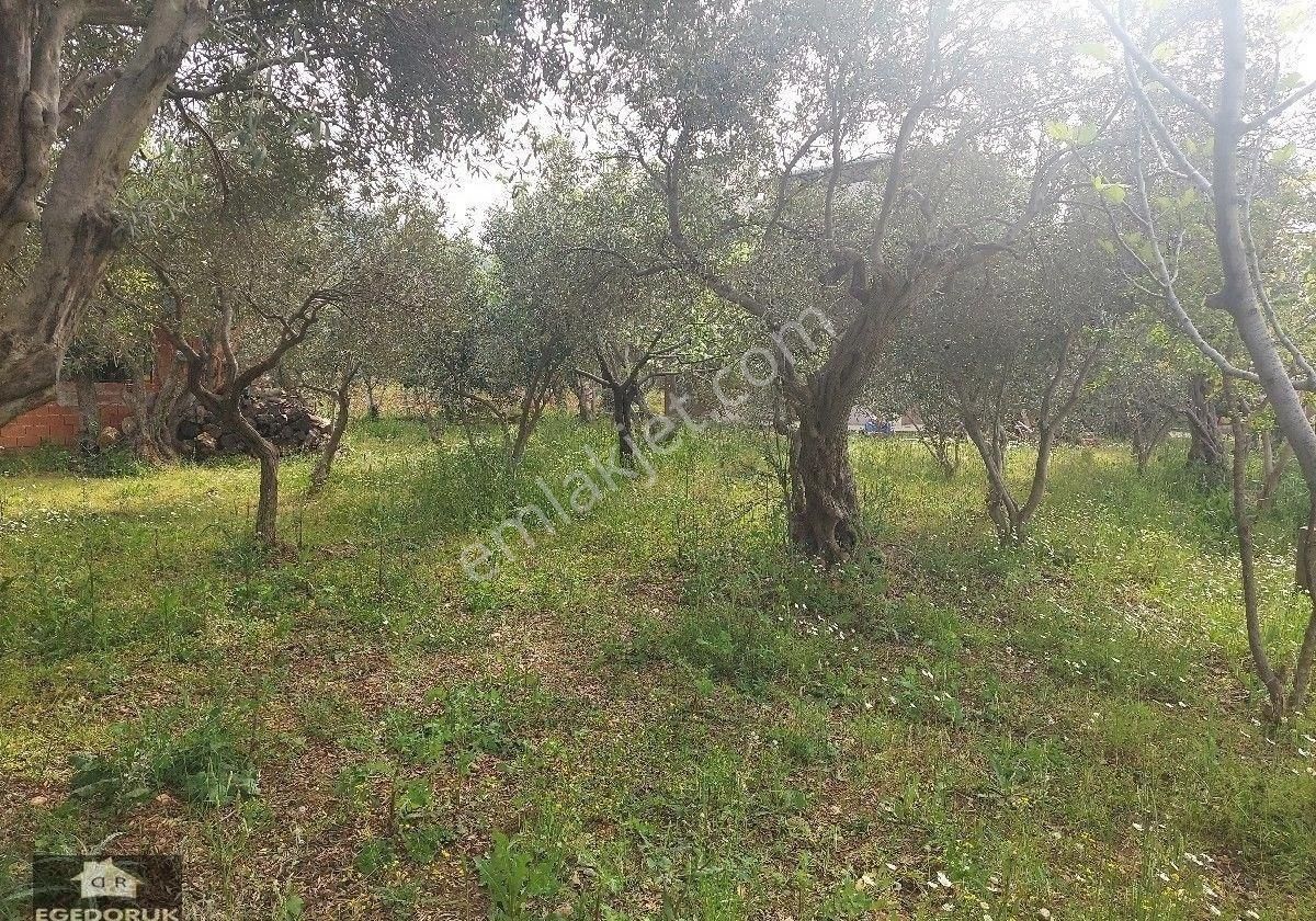 İzmir Kemalpaşa Yukarıkızılcada Satılık 5+1 Vılla - Görsel 12