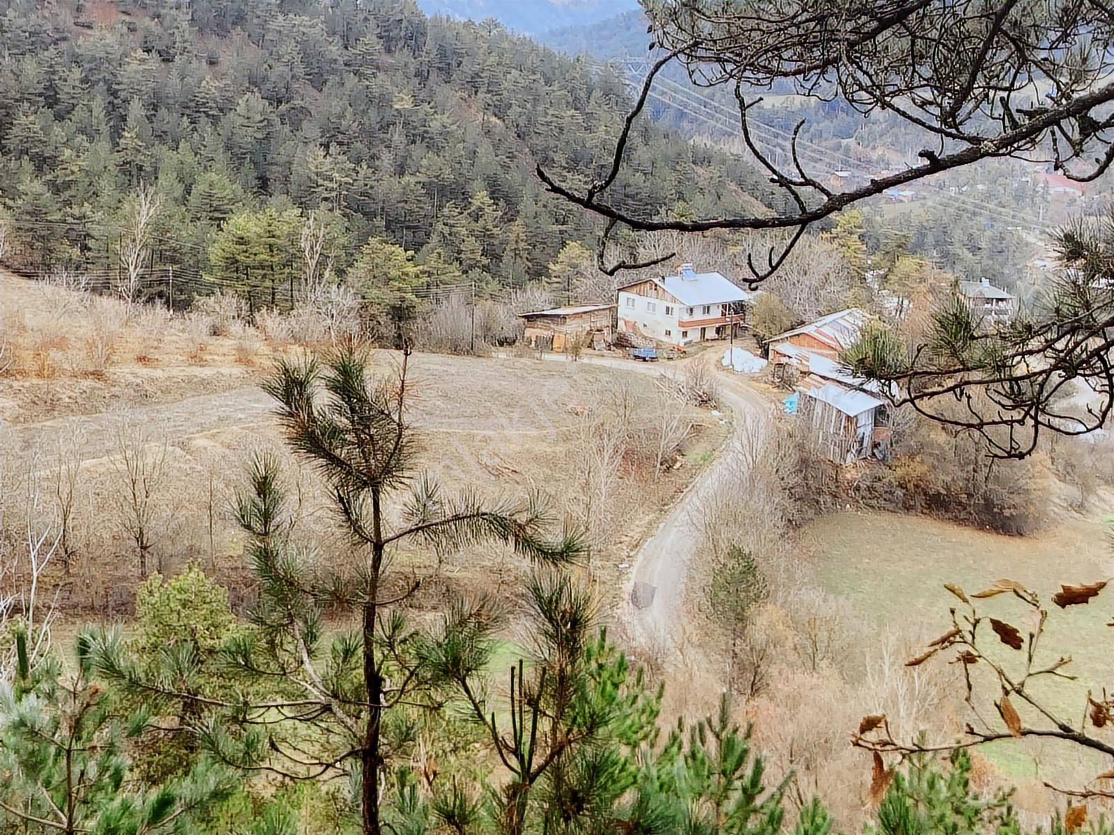 Bolu Göynük'te 6278m2 Manzaralı Kaçmaz Fırsat - Görsel 6