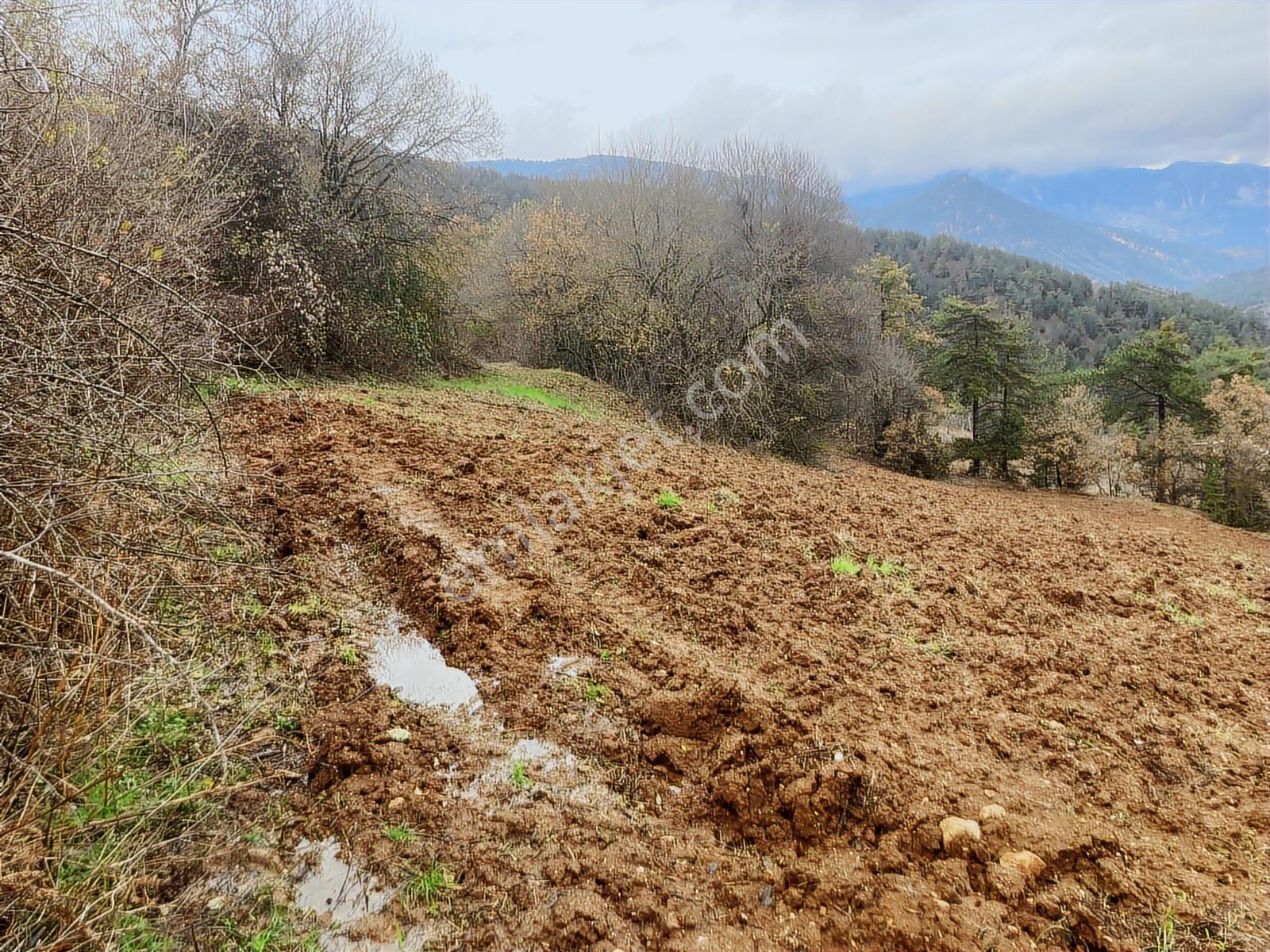 Bolu Göynük'te 6278m2 Manzaralı Kaçmaz Fırsat - Görsel 16