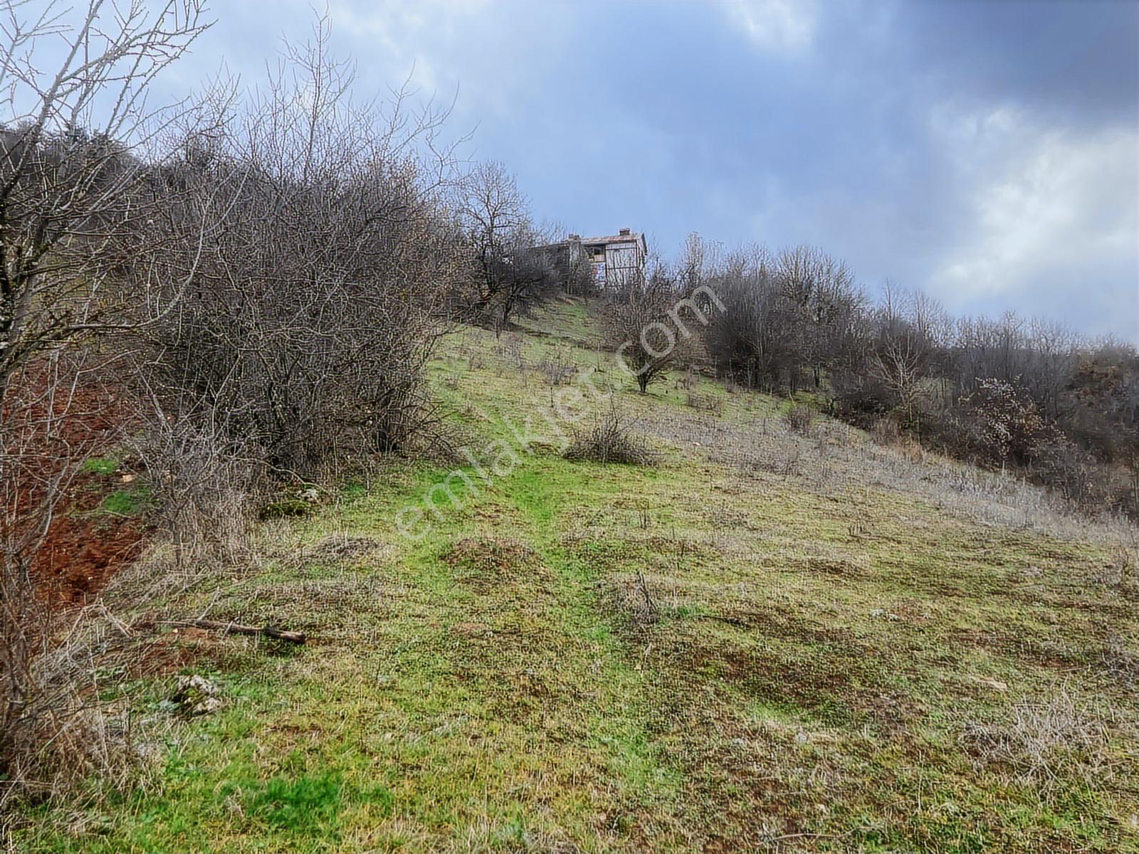 Bolu Göynük'te 6278m2 Manzaralı Kaçmaz Fırsat - Görsel 31