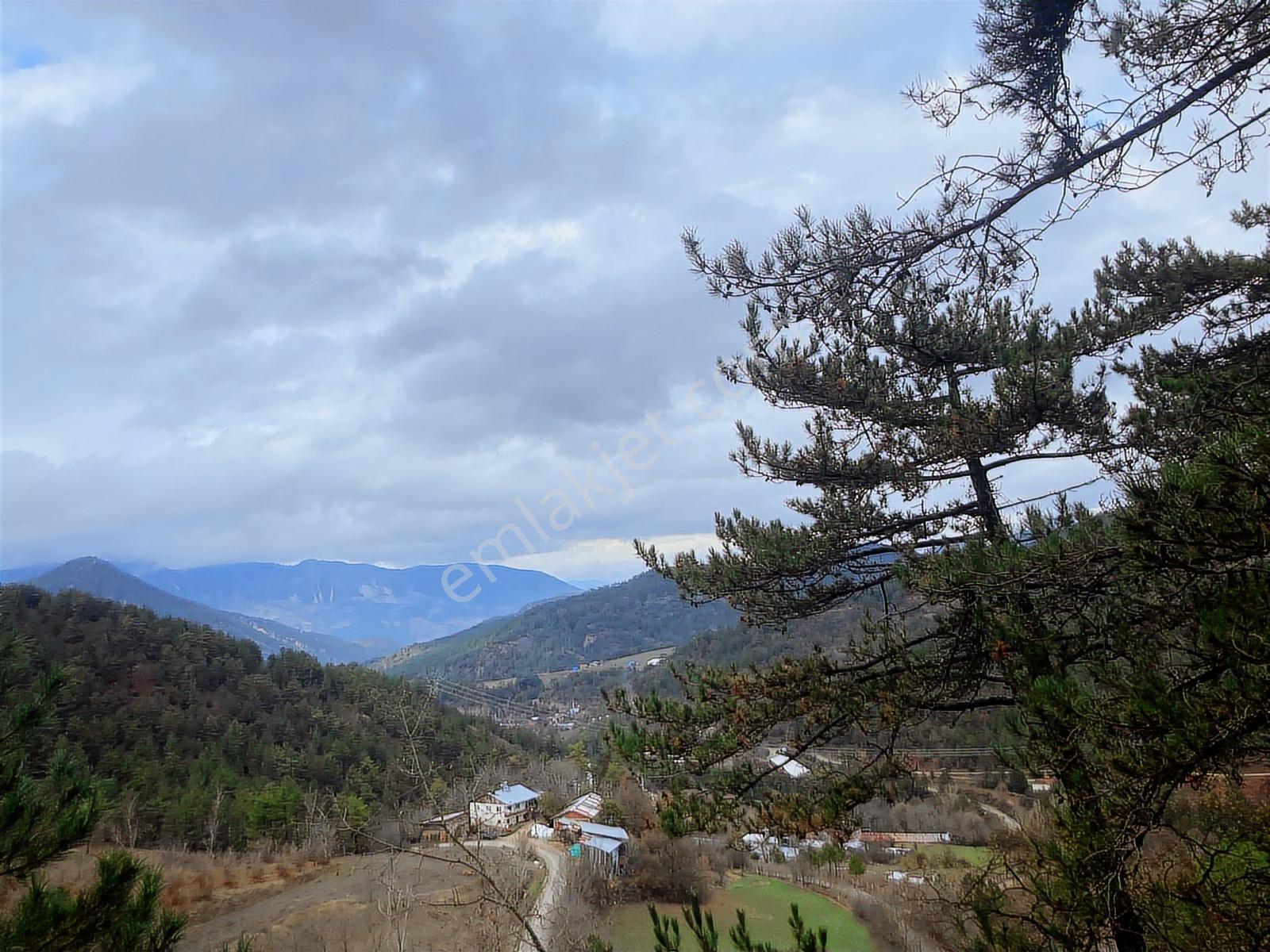 Bolu Göynük'te 6278m2 Manzaralı Kaçmaz Fırsat - Görsel 19