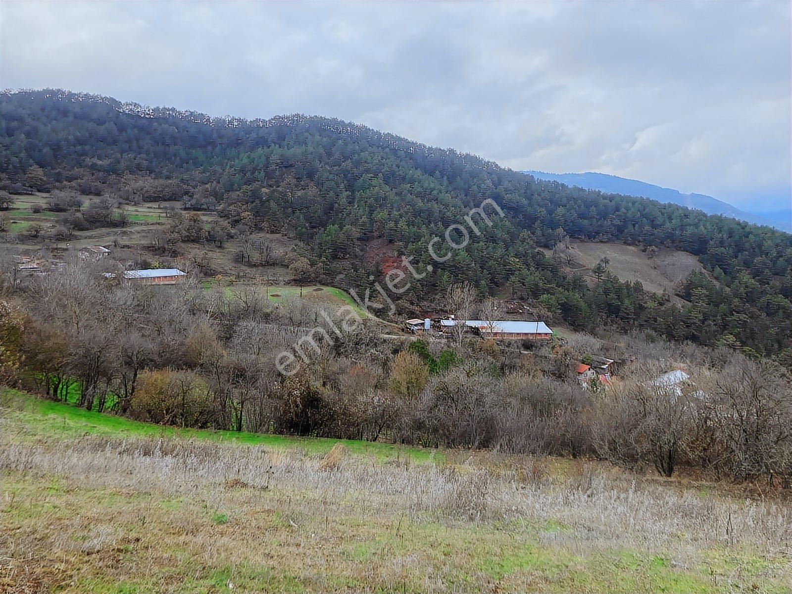 Bolu Göynük'te 6278m2 Manzaralı Kaçmaz Fırsat - Görsel 24