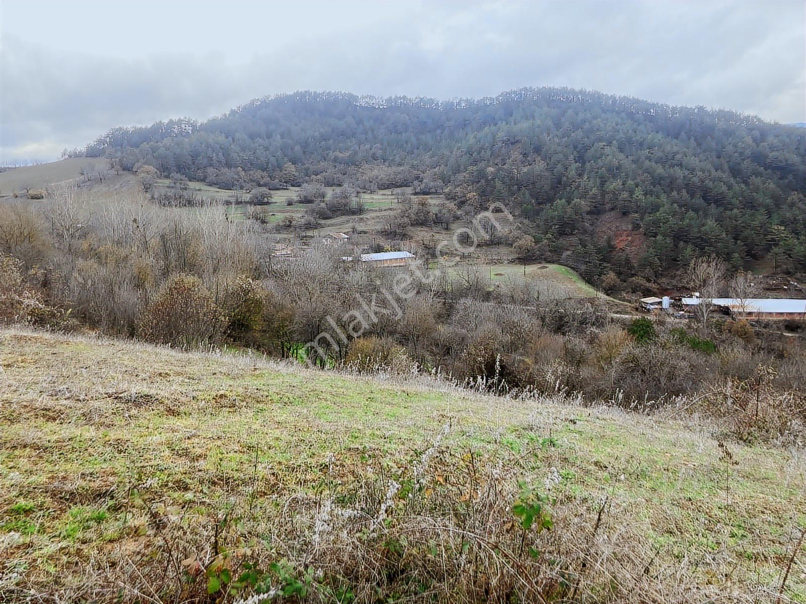 Bolu Göynük'te 6278m2 Manzaralı Kaçmaz Fırsat - Görsel 15