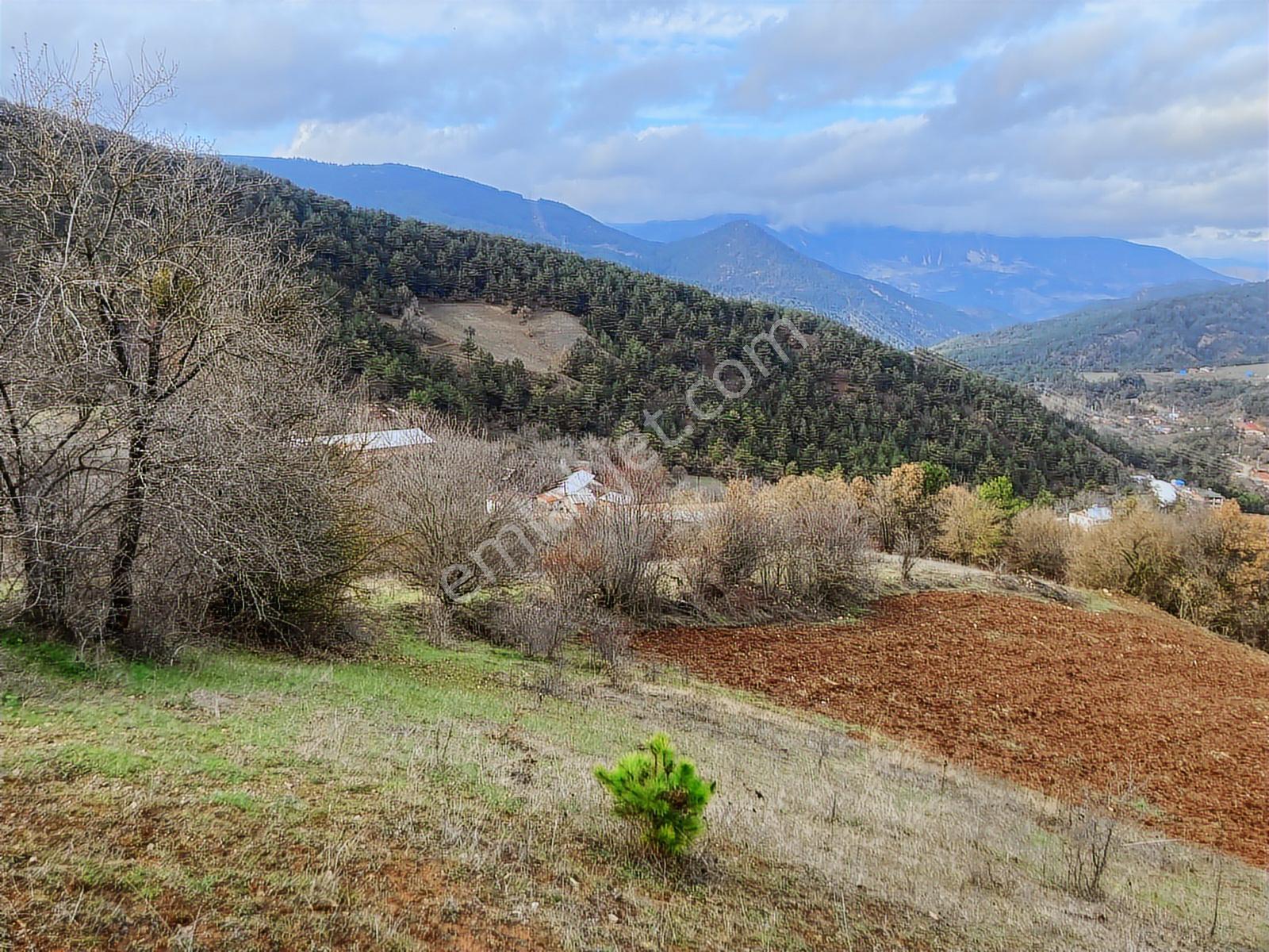 Bolu Göynük'te 6278m2 Manzaralı Kaçmaz Fırsat - Görsel 28