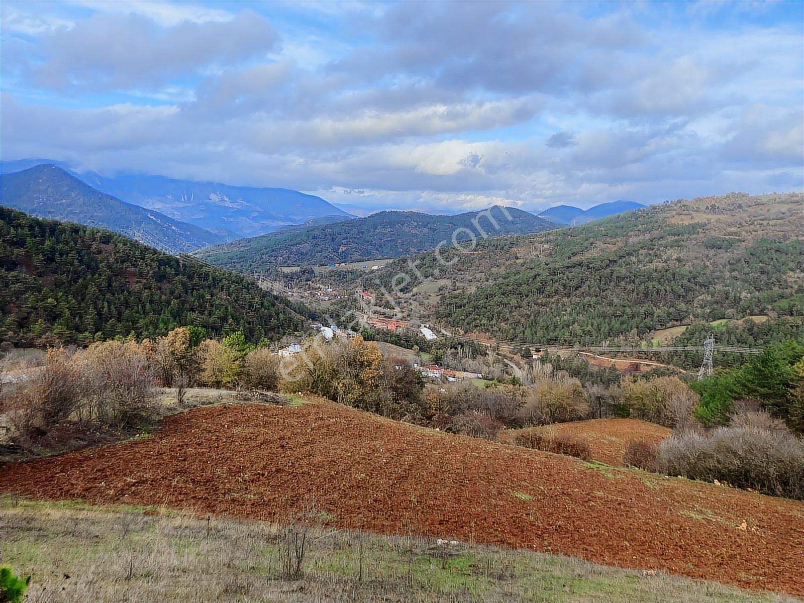 Bolu Göynük'te 6278m2 Manzaralı Kaçmaz Fırsat - Görsel 7