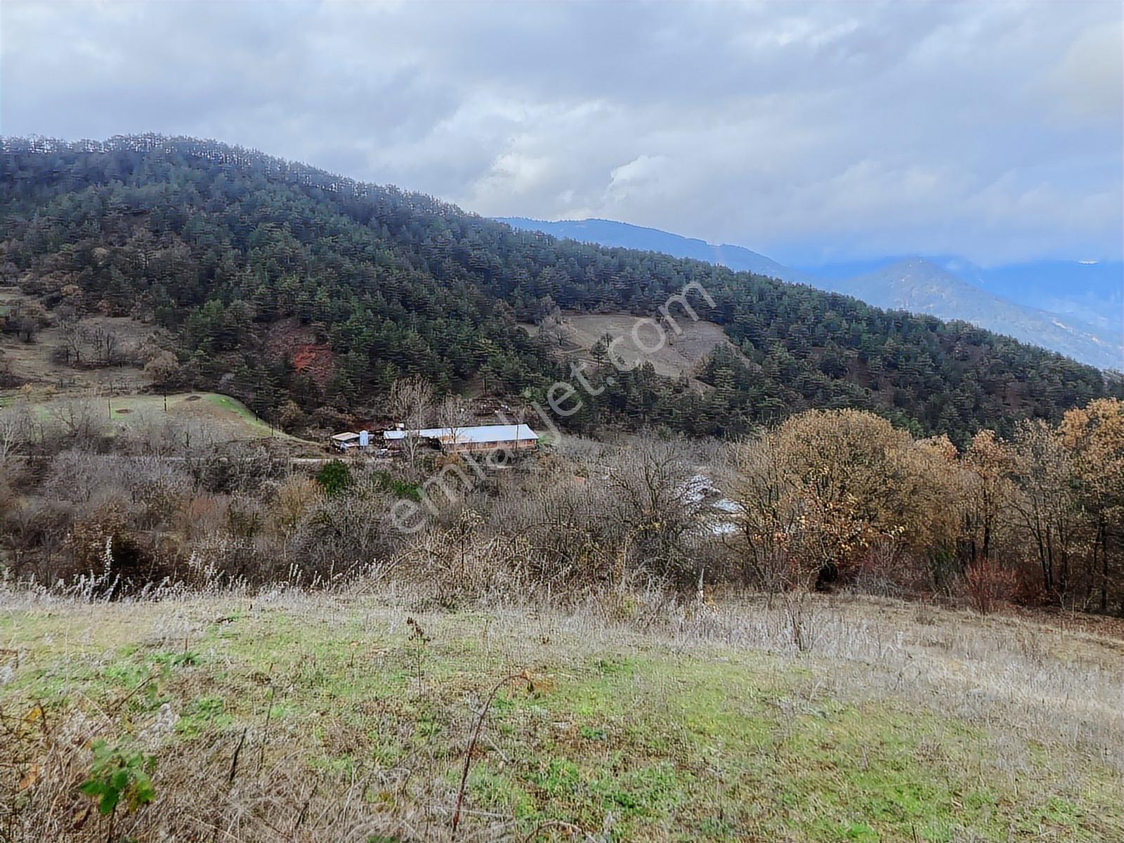 Bolu Göynük'te 6278m2 Manzaralı Kaçmaz Fırsat - Görsel 27