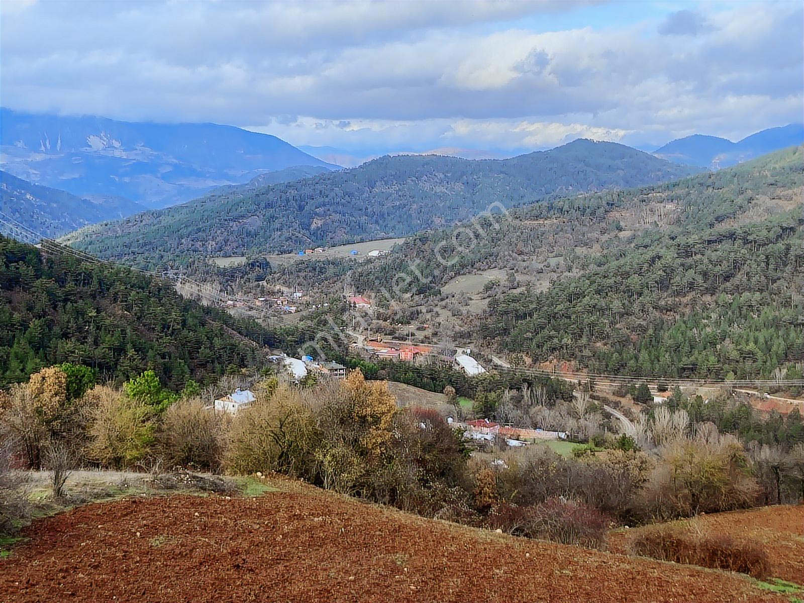 Bolu Göynük'te 6278m2 Manzaralı Kaçmaz Fırsat - Görsel 14