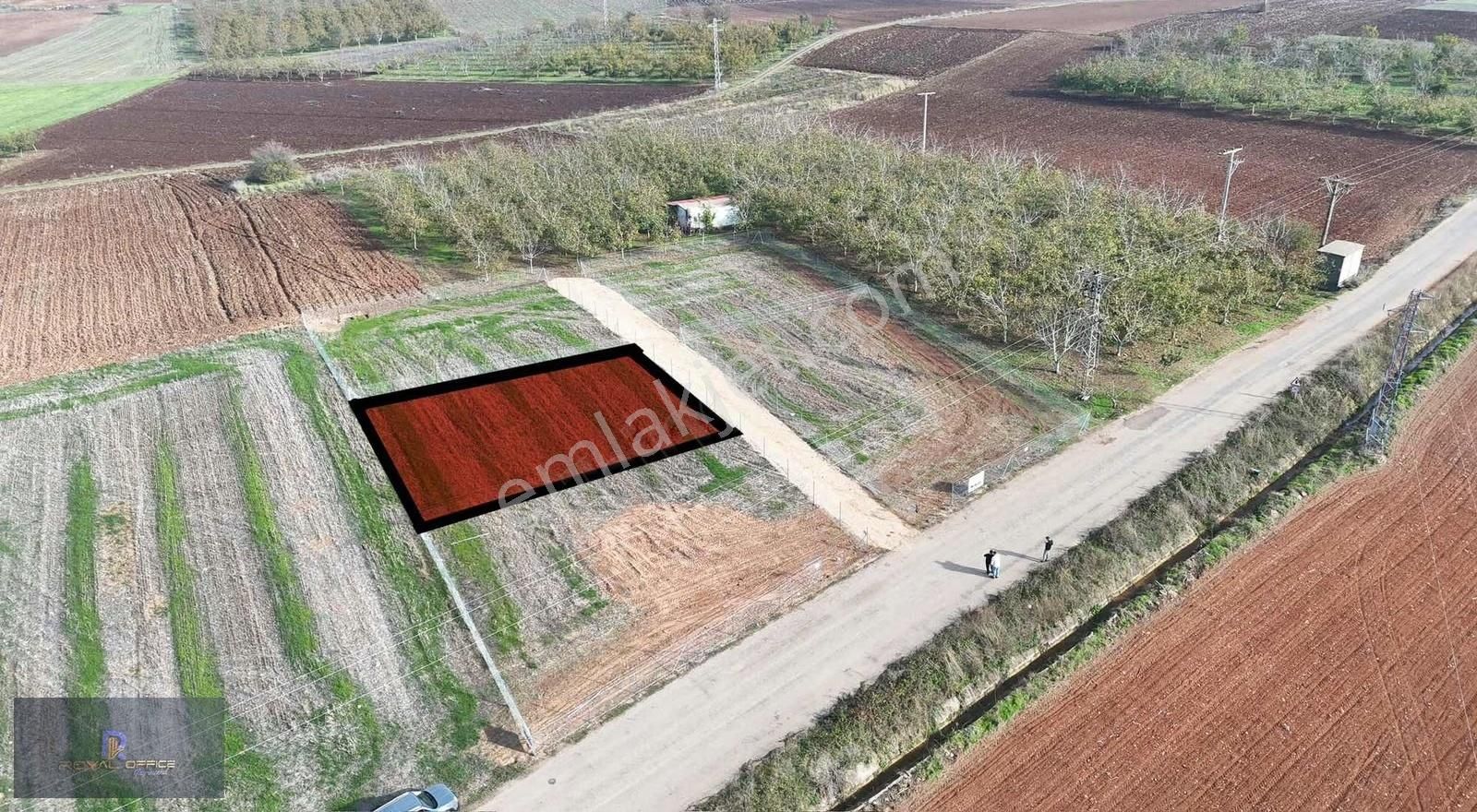 Royal Office Den Yenişehir Akbıyık Da 525m2 Satılık Hobi Bahçesi - Görsel 19