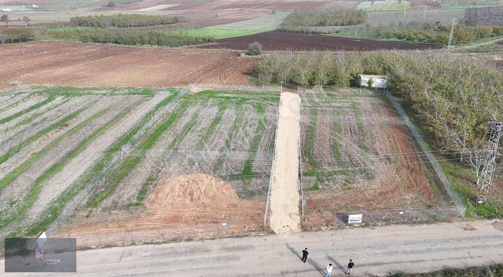 Royal Office Den Yenişehir Akbıyık Da 525m2 Satılık Hobi Bahçesi - Görsel 9