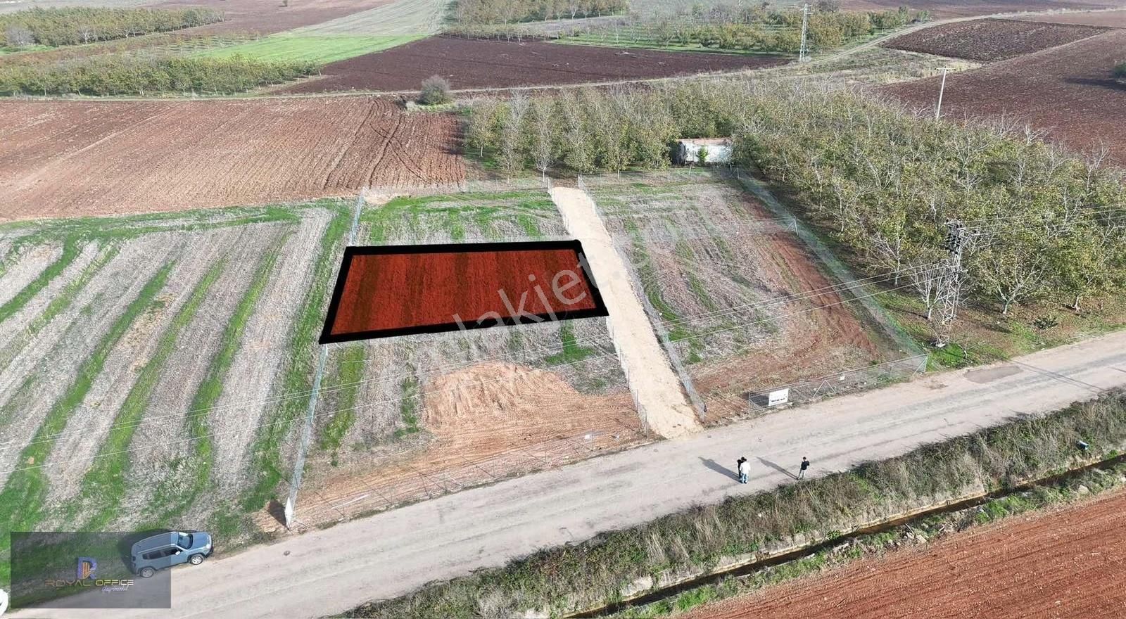 Royal Office Den Yenişehir Akbıyık Da 525m2 Satılık Hobi Bahçesi - Görsel 17