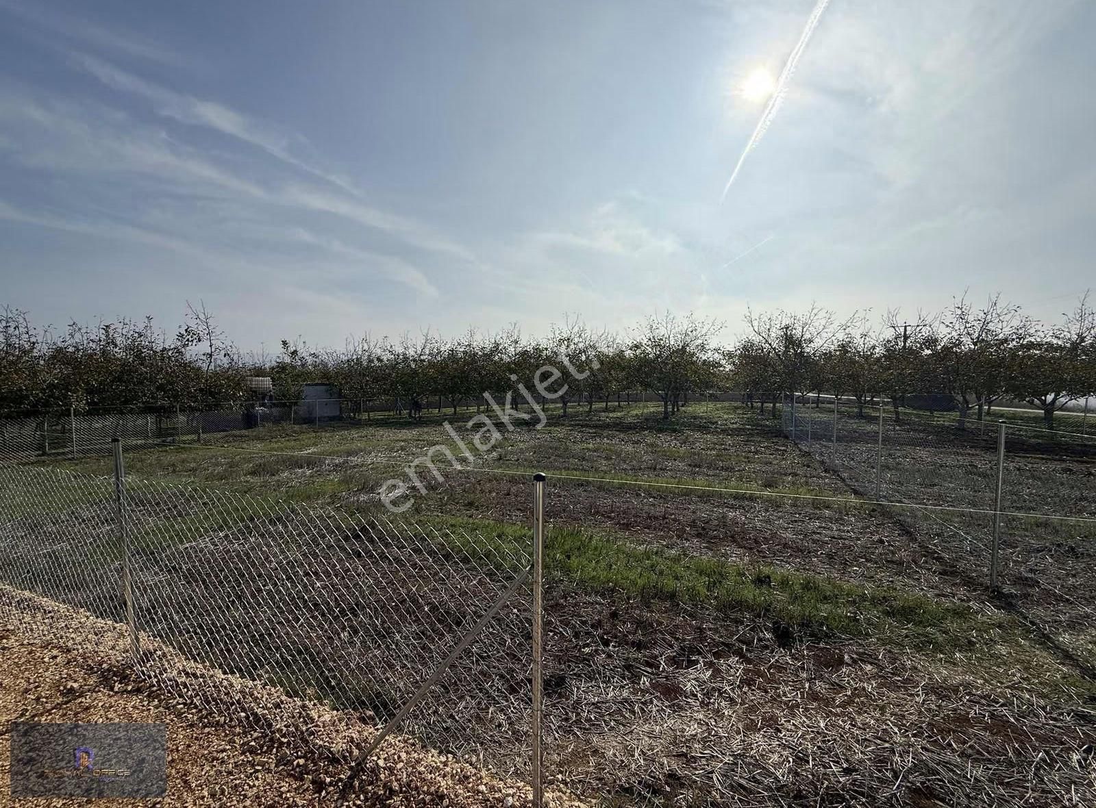 Royal Office Den Yenişehir Akbıyık Da 525m2 Satılık Hobi Bahçesi - Görsel 7