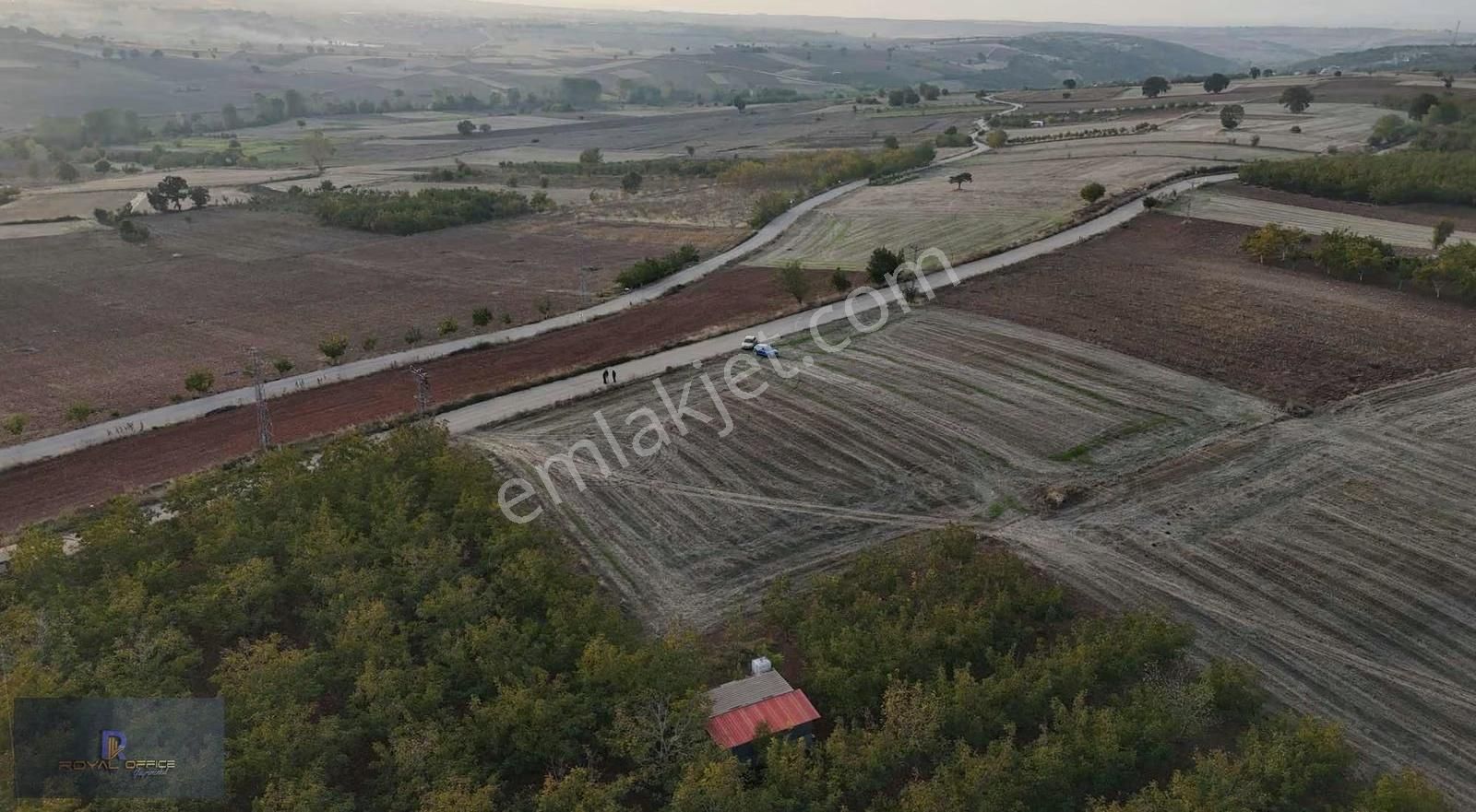 Royal Office Den Yenişehir Akbıyık Da 525m2 Satılık Hobi Bahçesi - Görsel 6