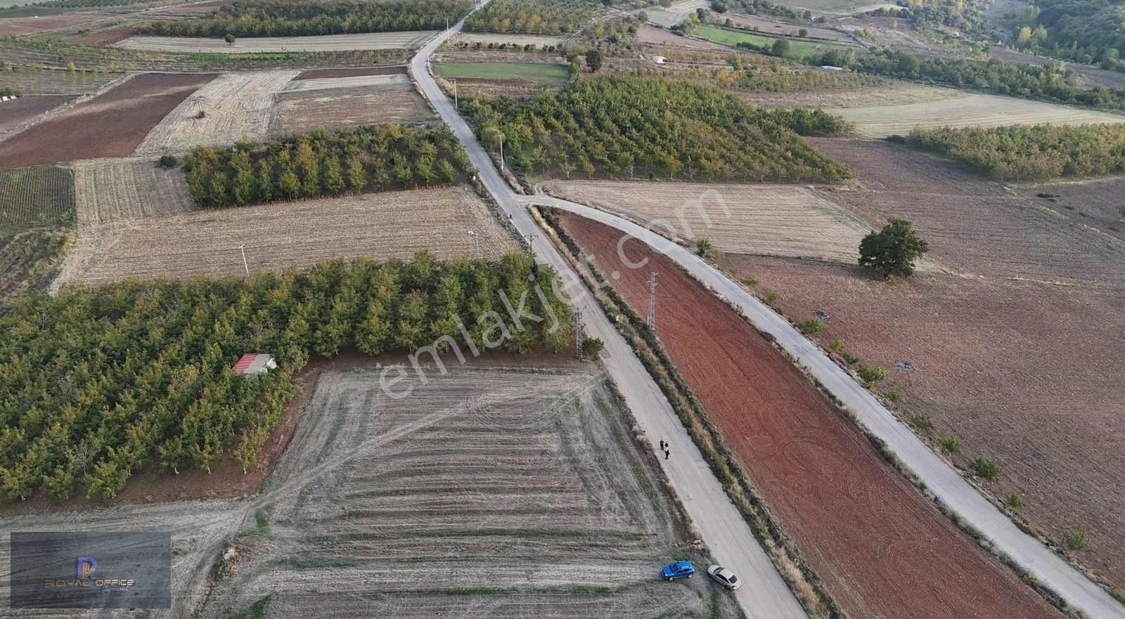 Royal Office Den Yenişehir Akbıyık Da 525m2 Satılık Hobi Bahçesi - Görsel 23