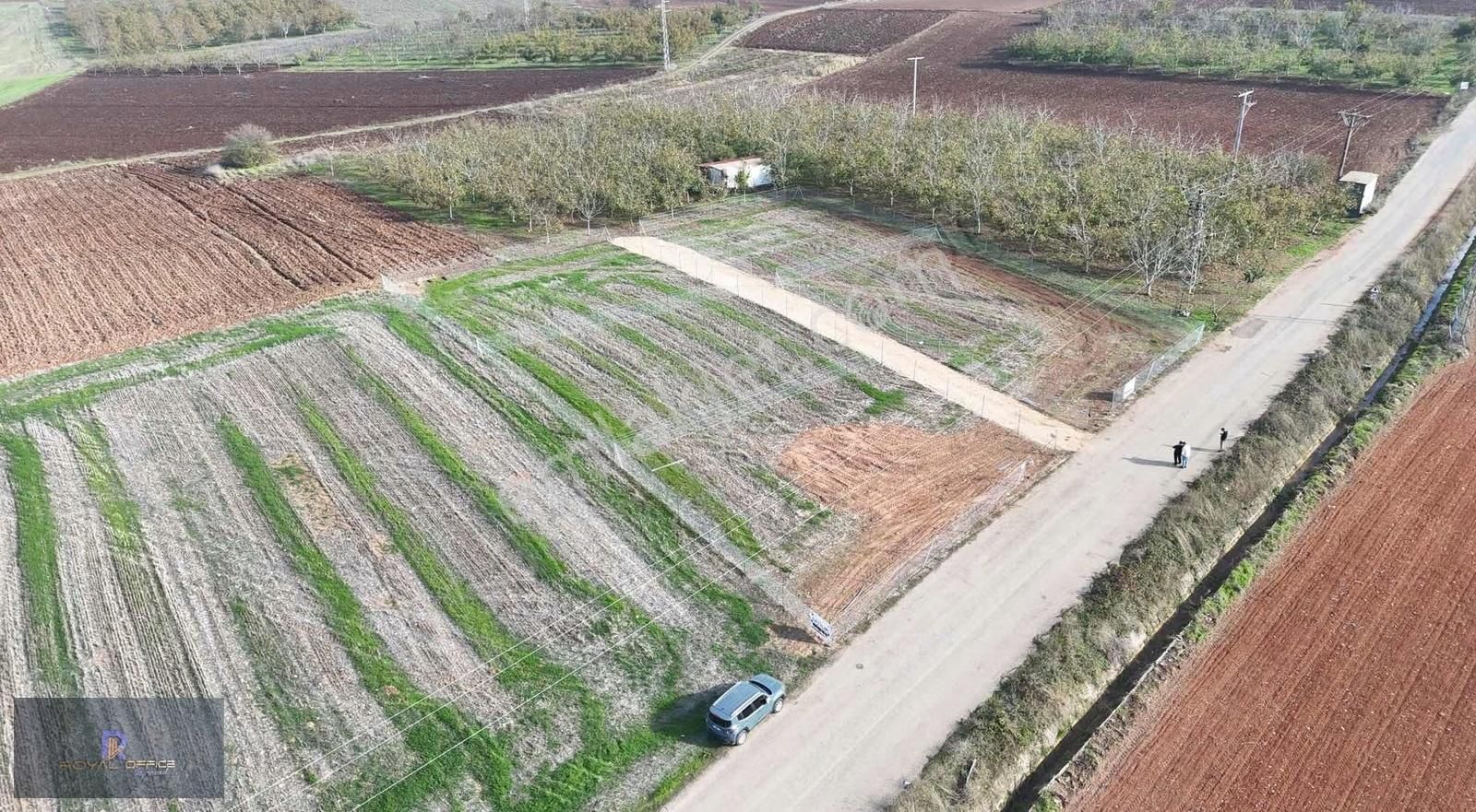 Royal Office Den Yenişehir Akbıyık Da 525m2 Satılık Hobi Bahçesi - Görsel 25