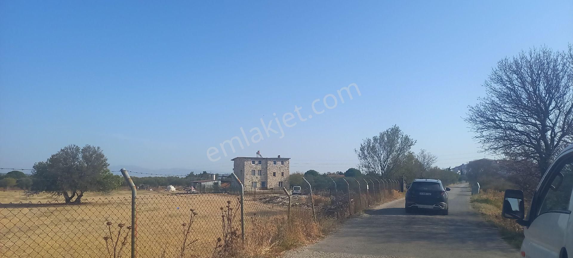 Foça Gerenköy Müstakil Tapulu Kendi Yolu Olan Zeytinlik - Görsel 19