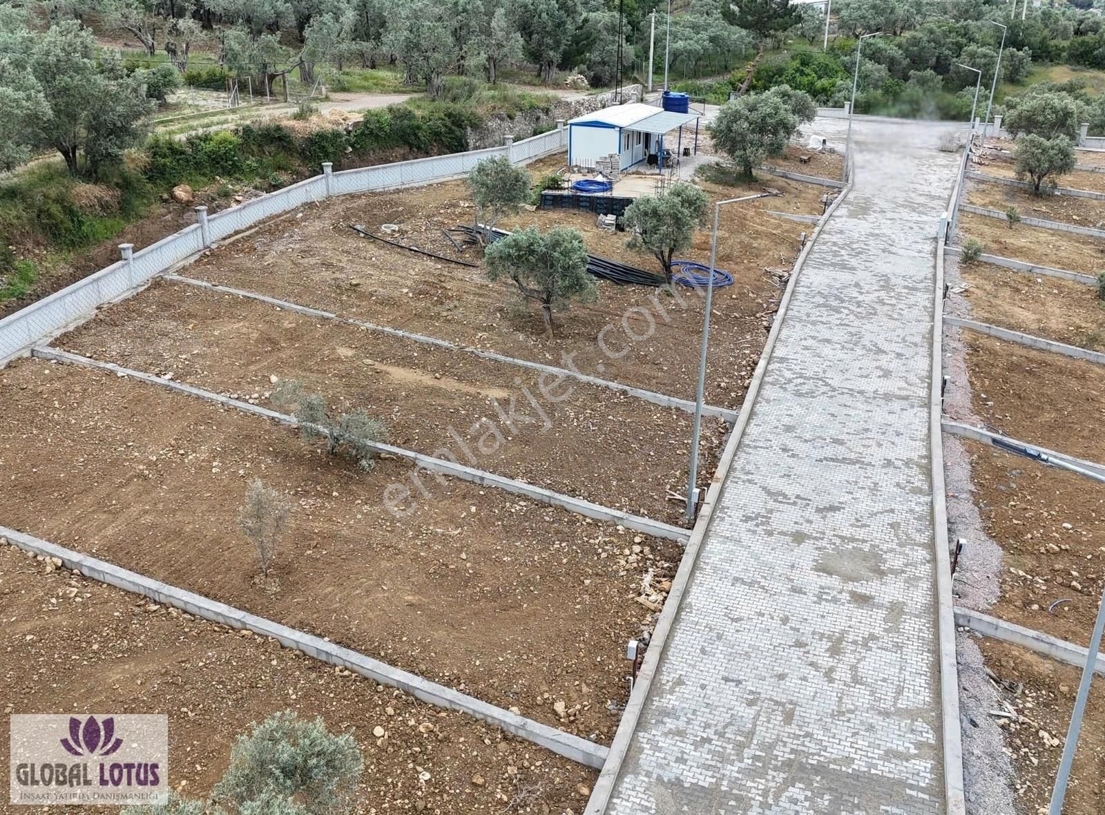 Kemalpaşa Yukarı Kızılca Kooperatif Arsası - Görsel 2