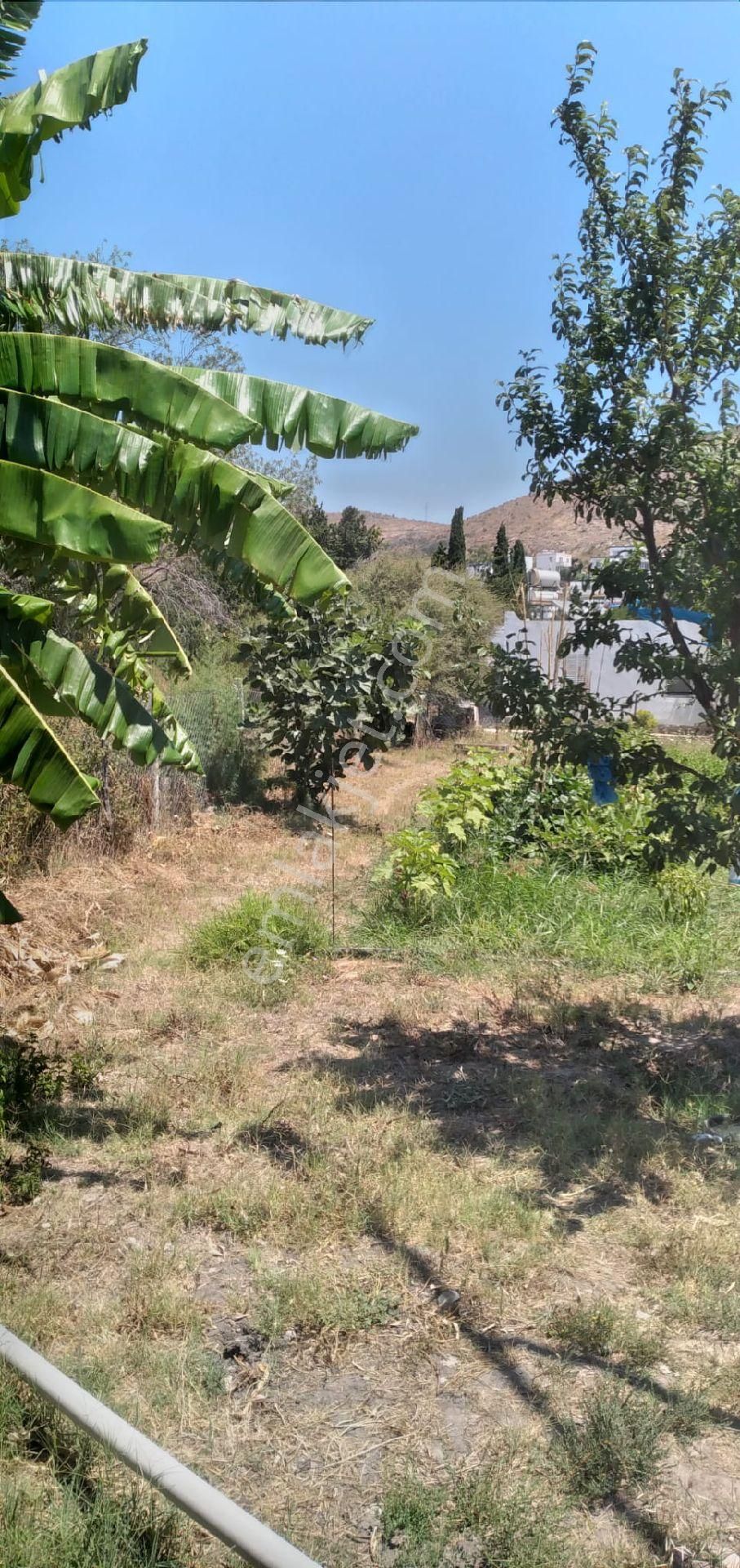 Turgutreis Kemer Köy İçinde Satılık Arazi(içinde Prefabrik Ev İle Beraber) - Görsel 5