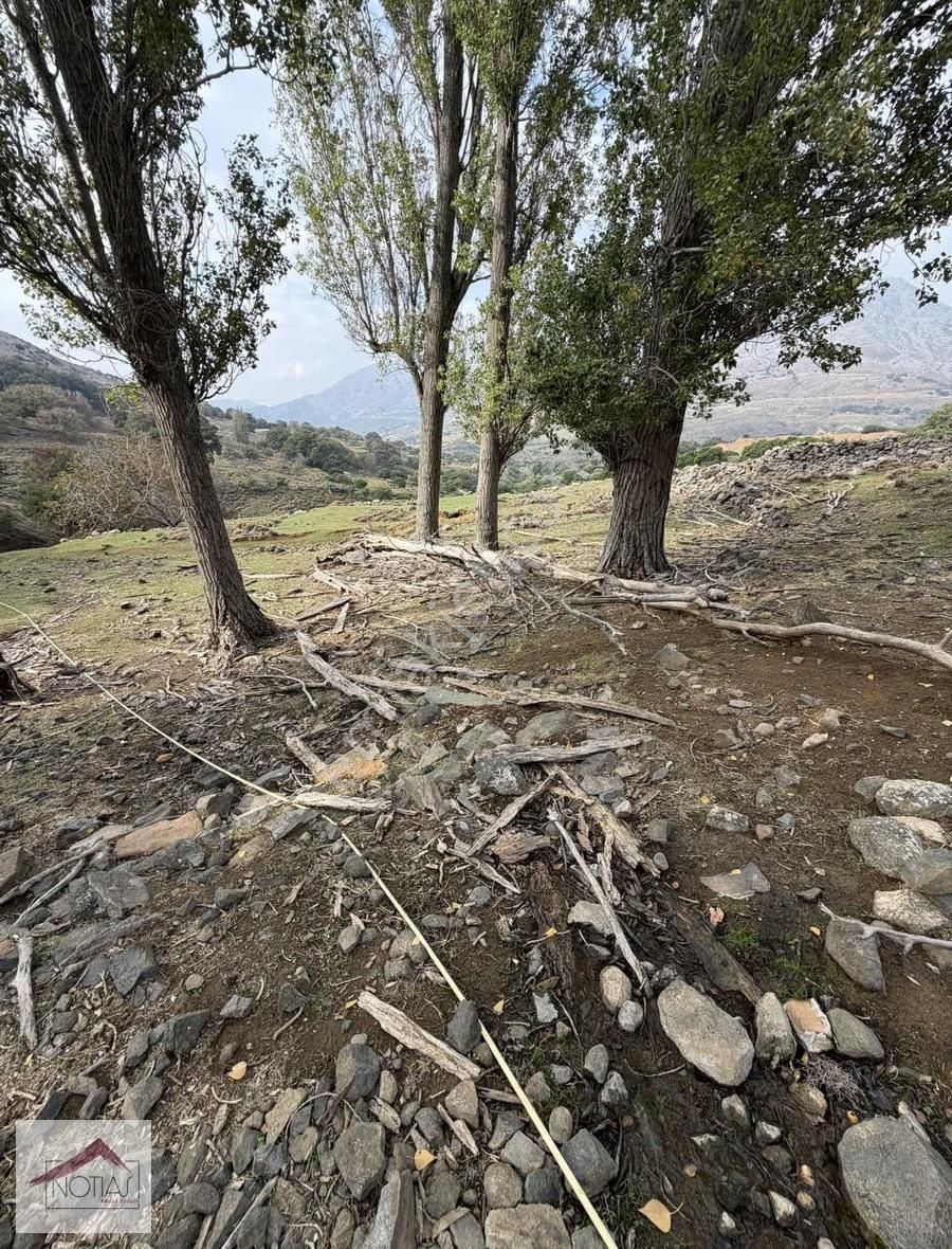 Notıas Real Estate Gayrimenkul'den 1.993 M2 Kavaklık Cevizlik - Görsel 8