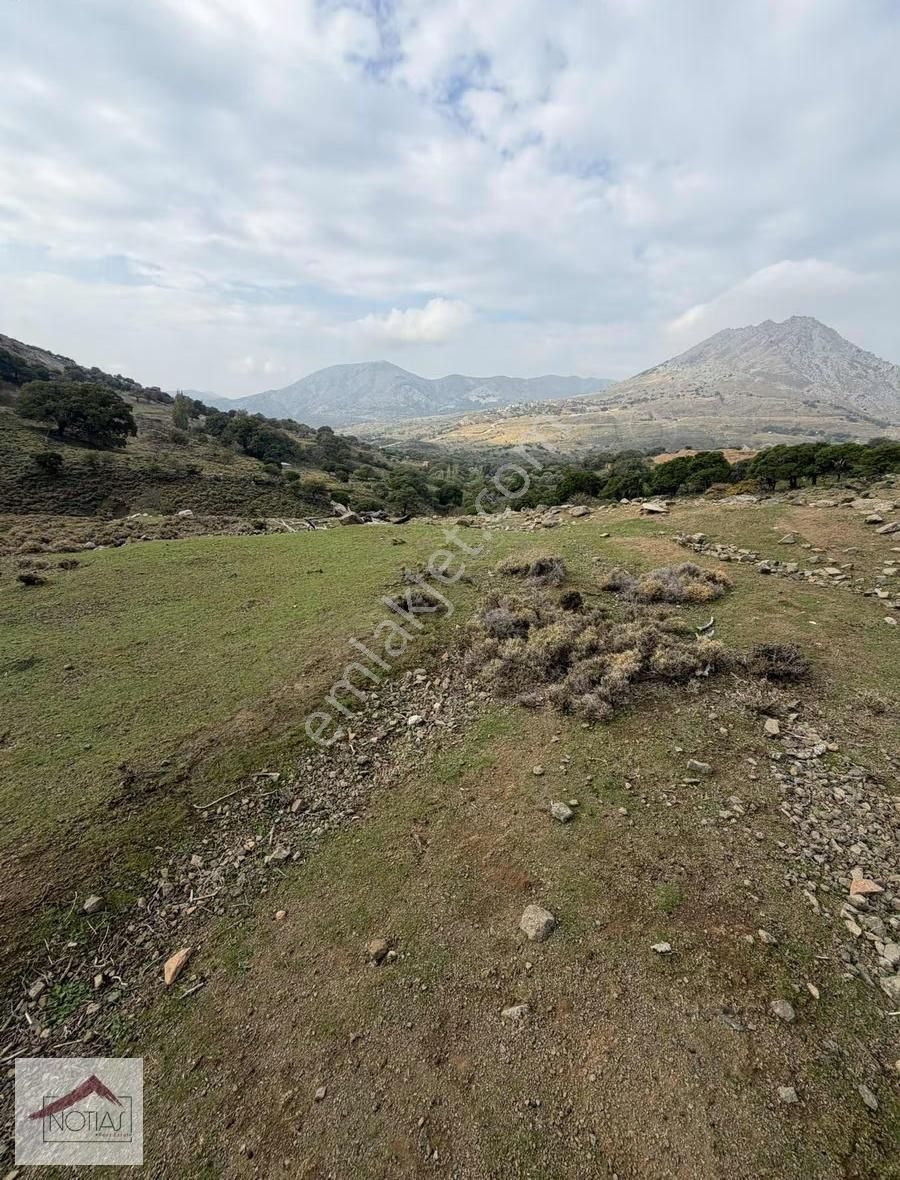 Notıas Real Estate Gayrimenkul'den 1.993 M2 Kavaklık Cevizlik - Görsel 10