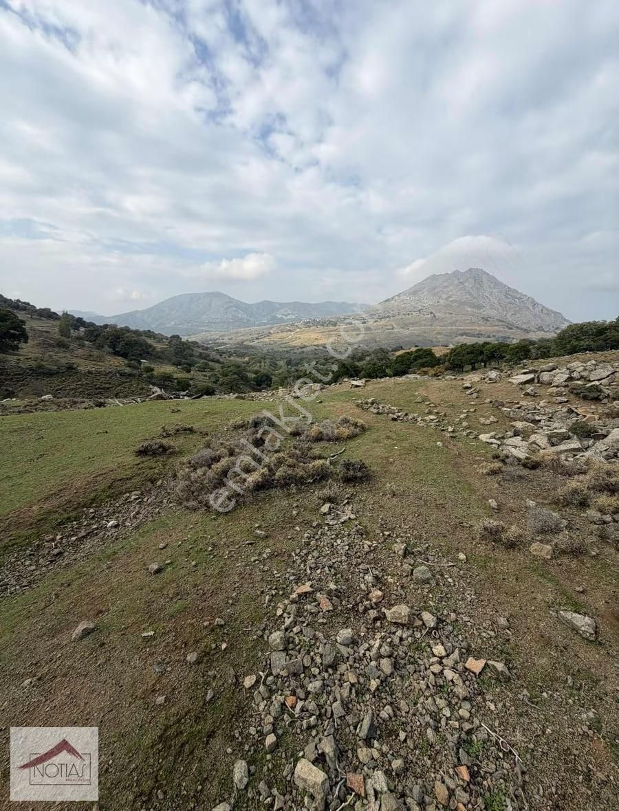 Notıas Real Estate Gayrimenkul'den 1.993 M2 Kavaklık Cevizlik - Görsel 17