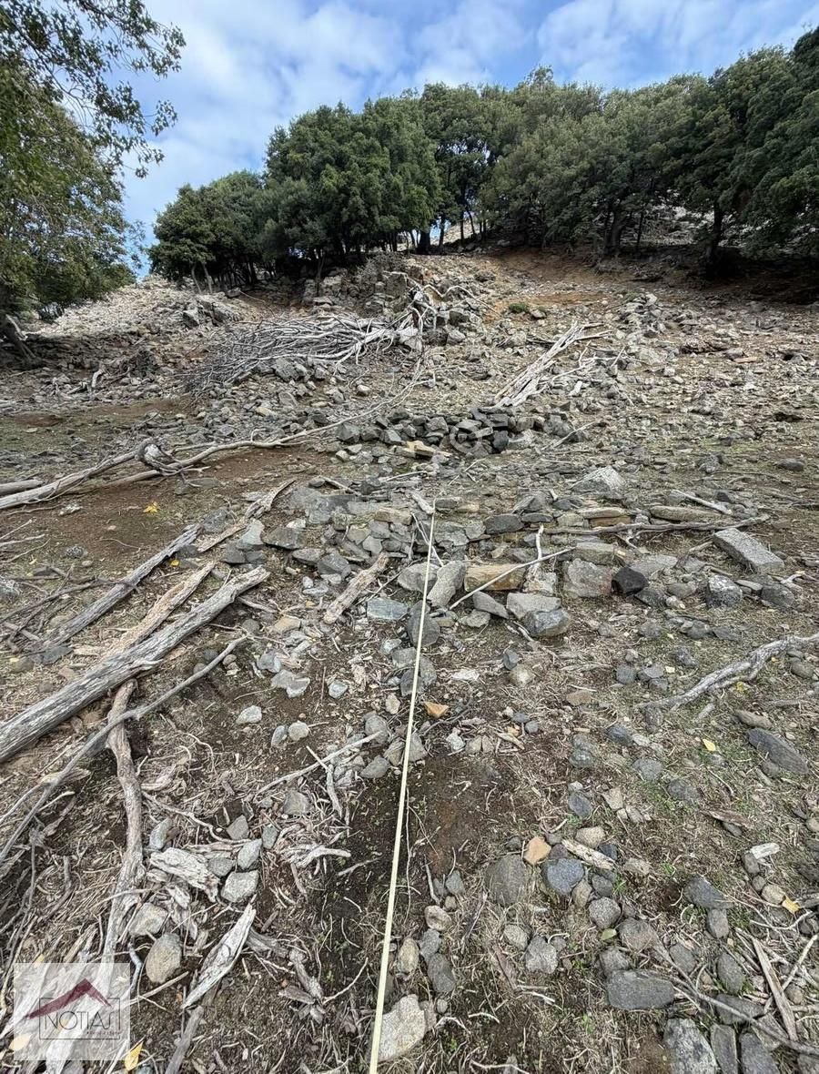 Notıas Real Estate Gayrimenkul'den 1.993 M2 Kavaklık Cevizlik - Görsel 3