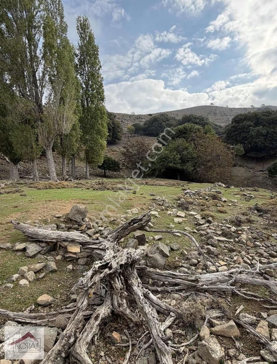 Notıas Real Estate Gayrimenkul'den 1.993 M2 Kavaklık Cevizlik - Görsel 15