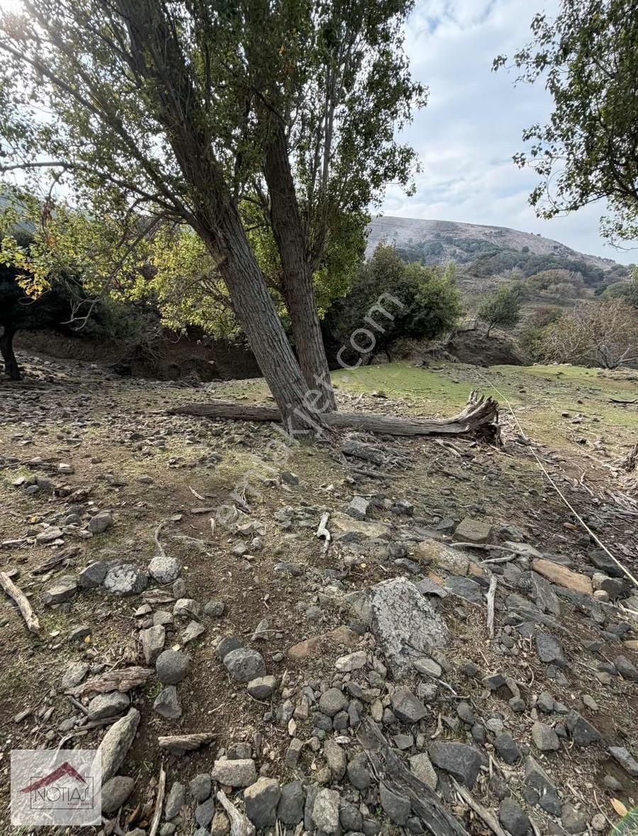 Notıas Real Estate Gayrimenkul'den 1.993 M2 Kavaklık Cevizlik - Görsel 14