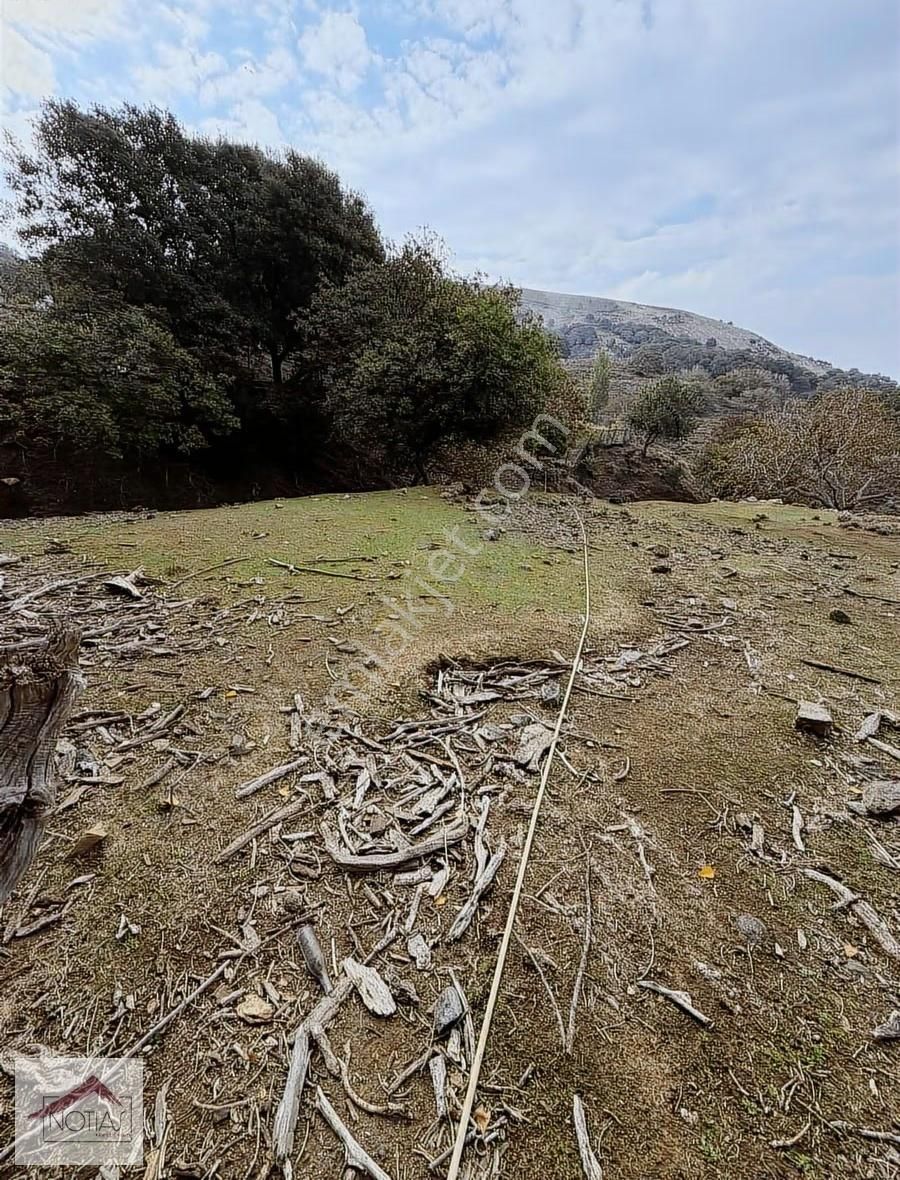 Notıas Real Estate Gayrimenkul'den 1.993 M2 Kavaklık Cevizlik - Görsel 7