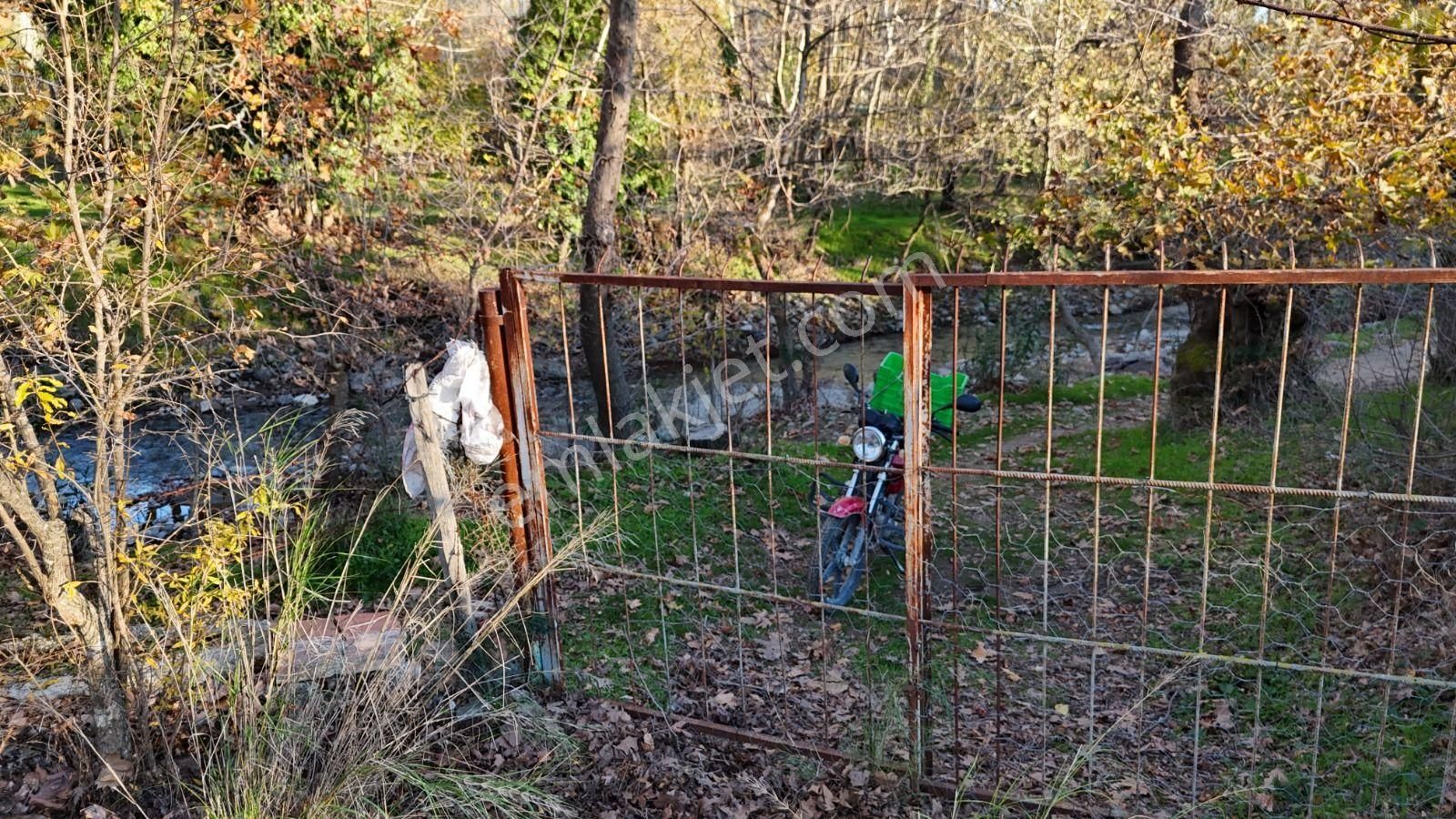 Golden Globy, Havran İnönü'de Satılık 5,5 Dönüm Bahçe - Görsel 5