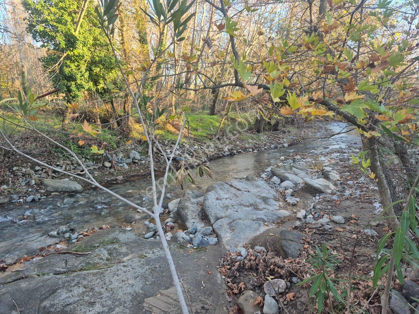 Golden Globy, Havran İnönü'de Satılık 5,5 Dönüm Bahçe - Görsel 31