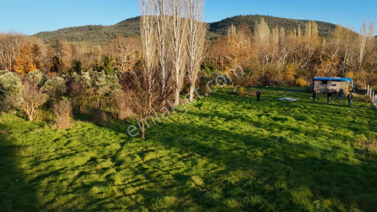 Golden Globy, Havran İnönü'de Satılık 5,5 Dönüm Bahçe - Görsel 15