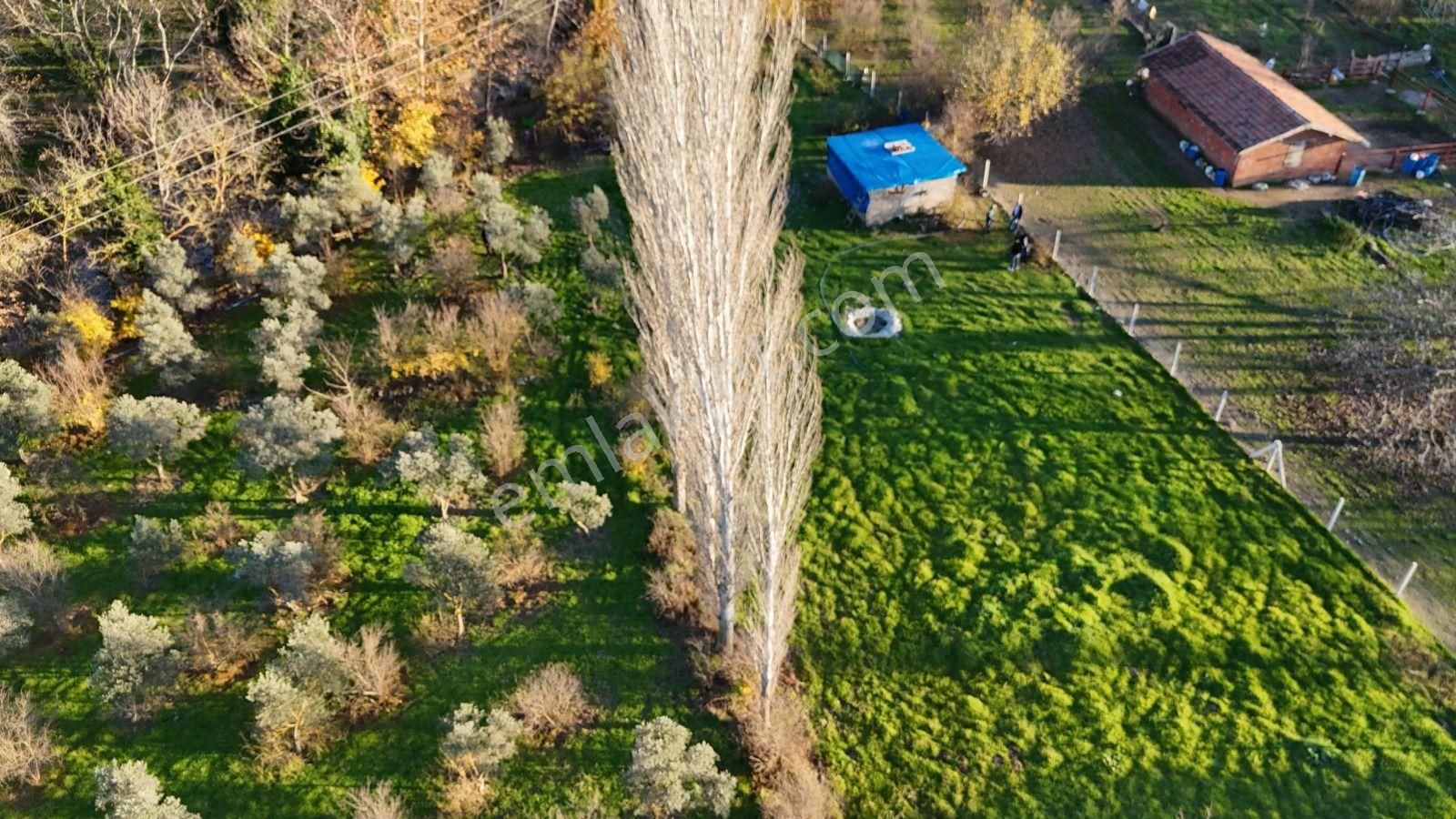 Golden Globy, Havran İnönü'de Satılık 5,5 Dönüm Bahçe - Görsel 14