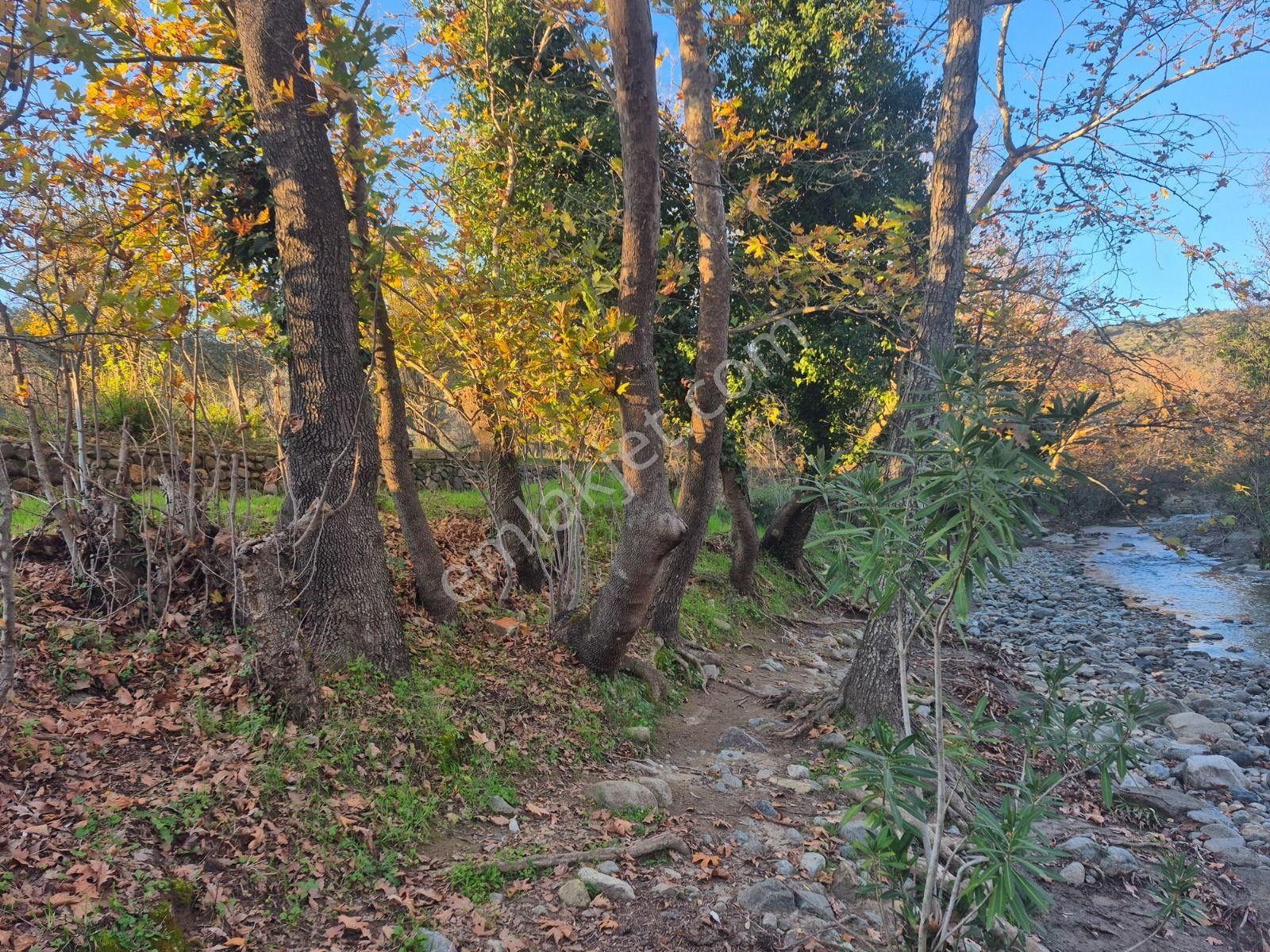 Golden Globy, Havran İnönü'de Satılık 5,5 Dönüm Bahçe - Görsel 32