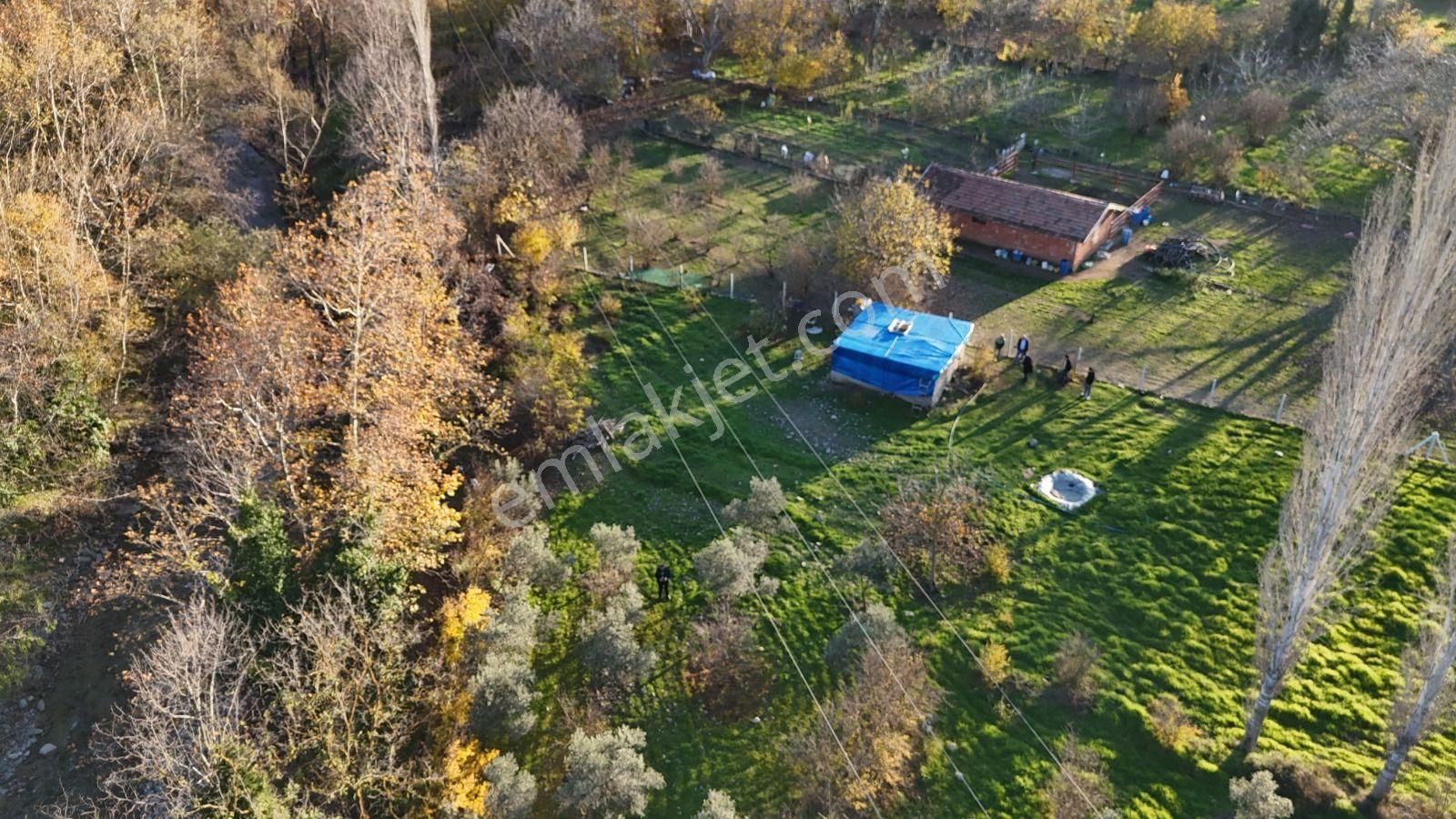 Golden Globy, Havran İnönü'de Satılık 5,5 Dönüm Bahçe - Görsel 11