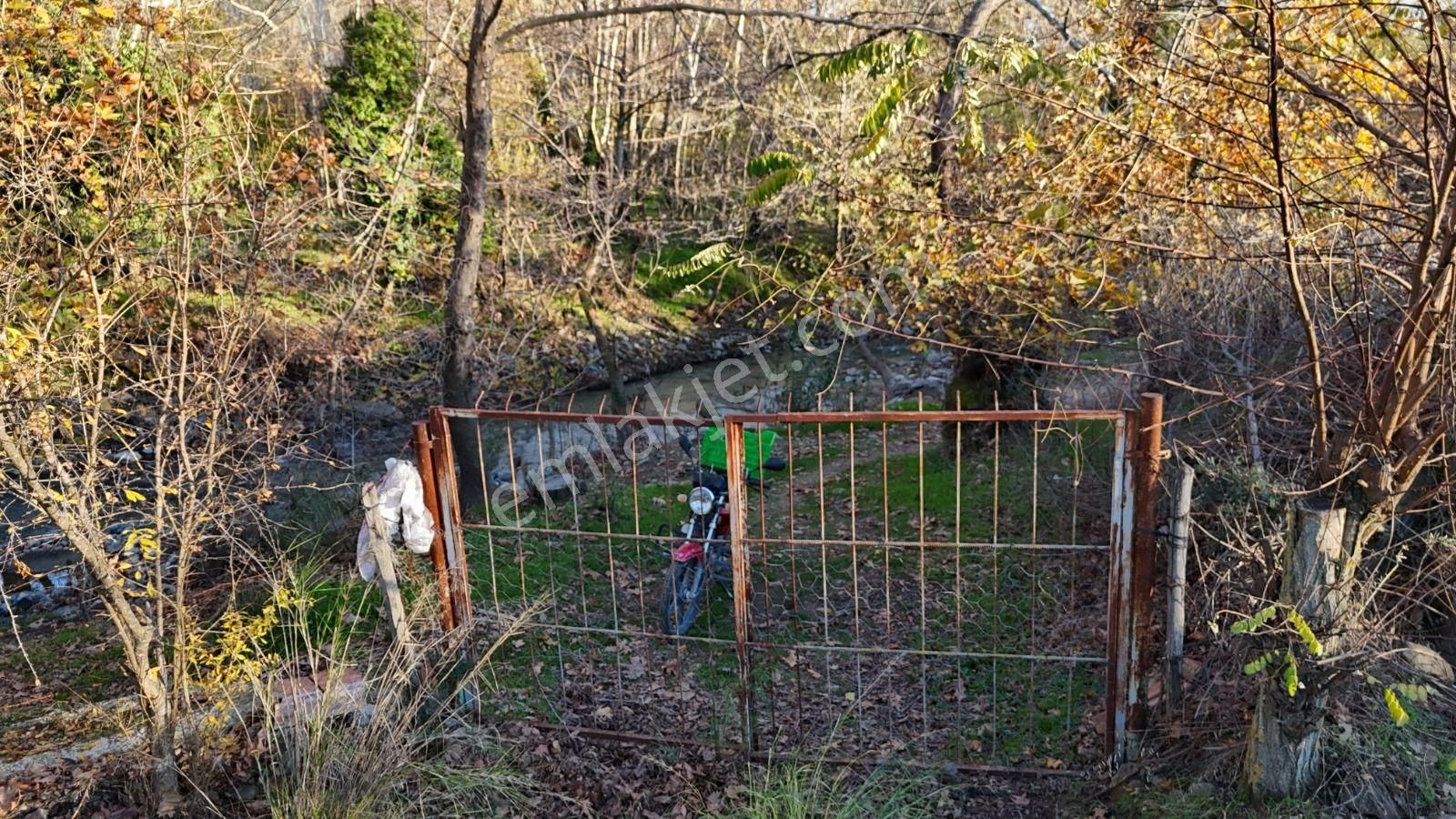 Golden Globy, Havran İnönü'de Satılık 5,5 Dönüm Bahçe - Görsel 18