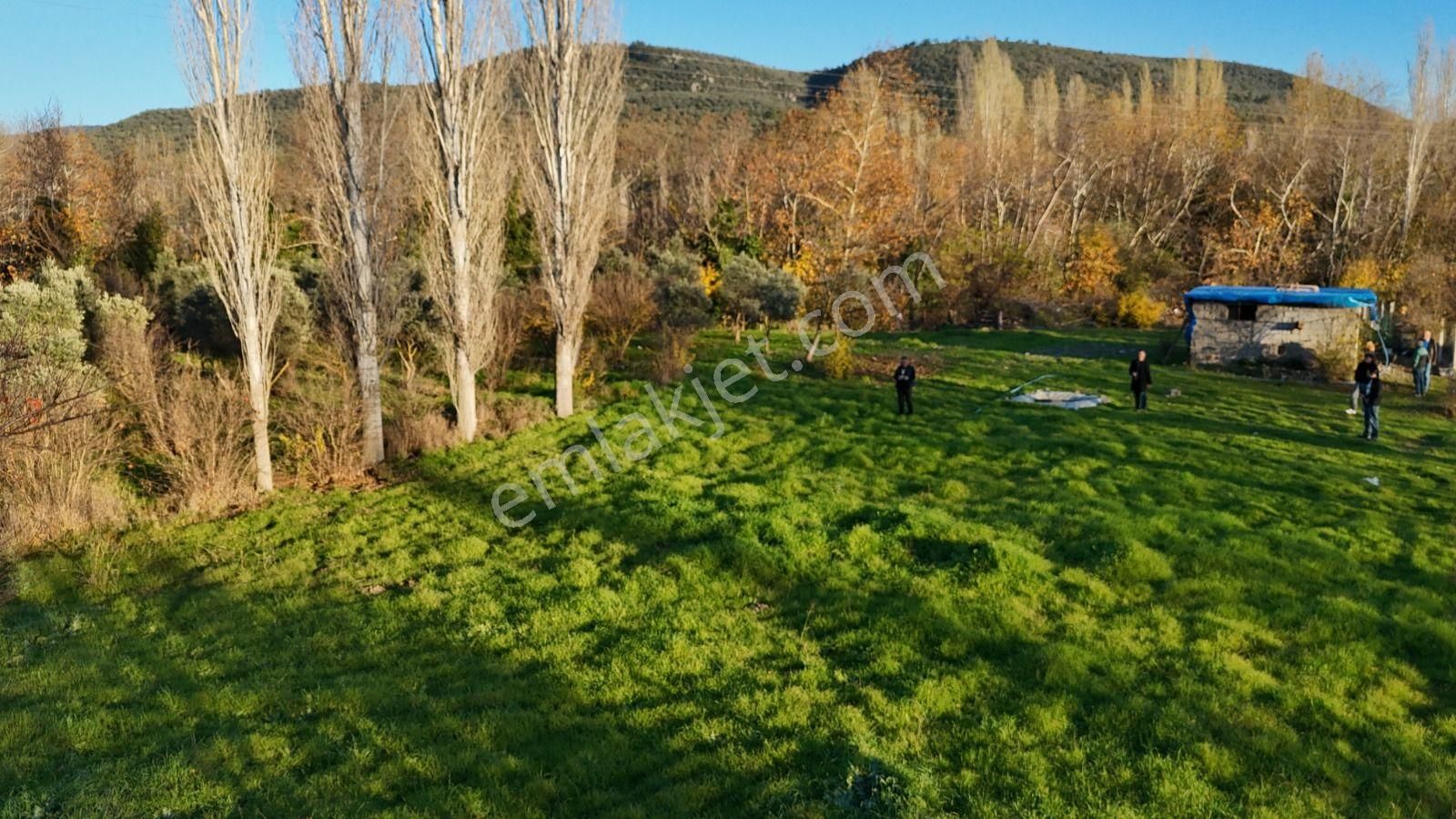 Golden Globy, Havran İnönü'de Satılık 5,5 Dönüm Bahçe - Görsel 9