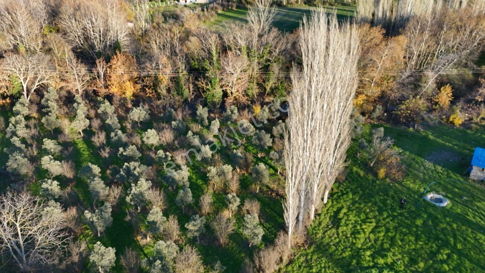 Golden Globy, Havran İnönü'de Satılık 5,5 Dönüm Bahçe - Görsel 17