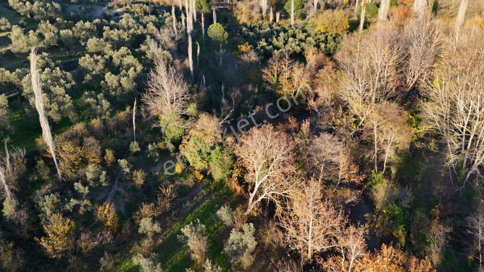 Golden Globy, Havran İnönü'de Satılık 5,5 Dönüm Bahçe - Görsel 12