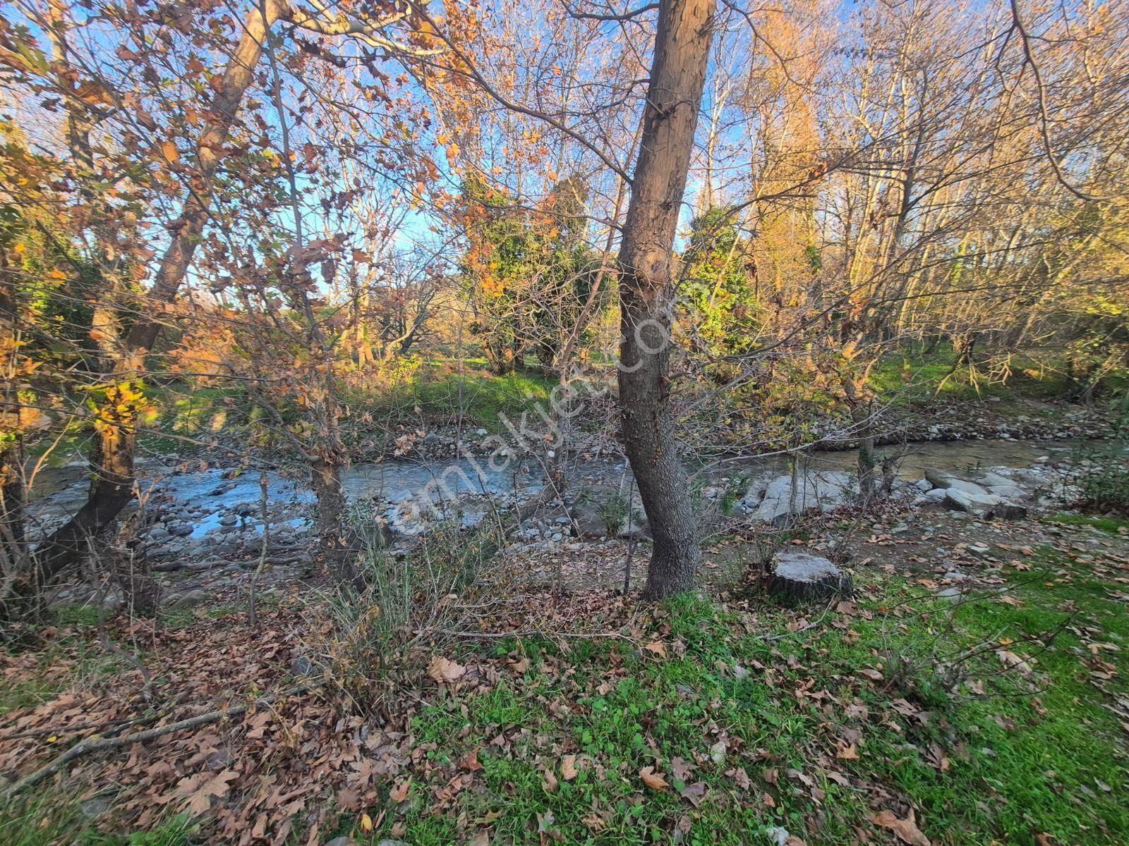 Golden Globy, Havran İnönü'de Satılık 5,5 Dönüm Bahçe - Görsel 3