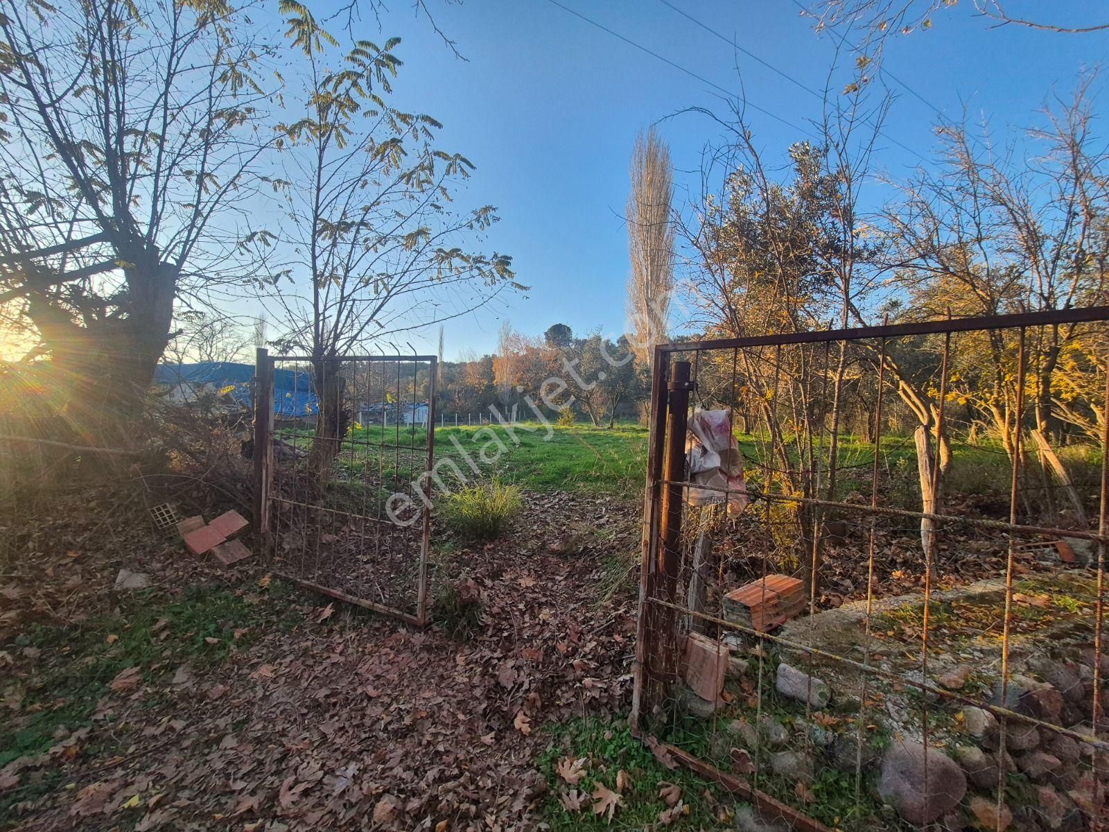 Golden Globy, Havran İnönü'de Satılık 5,5 Dönüm Bahçe - Görsel 33