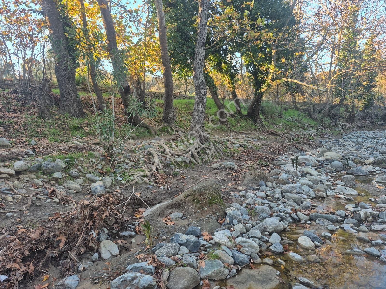 Golden Globy, Havran İnönü'de Satılık 5,5 Dönüm Bahçe - Görsel 34