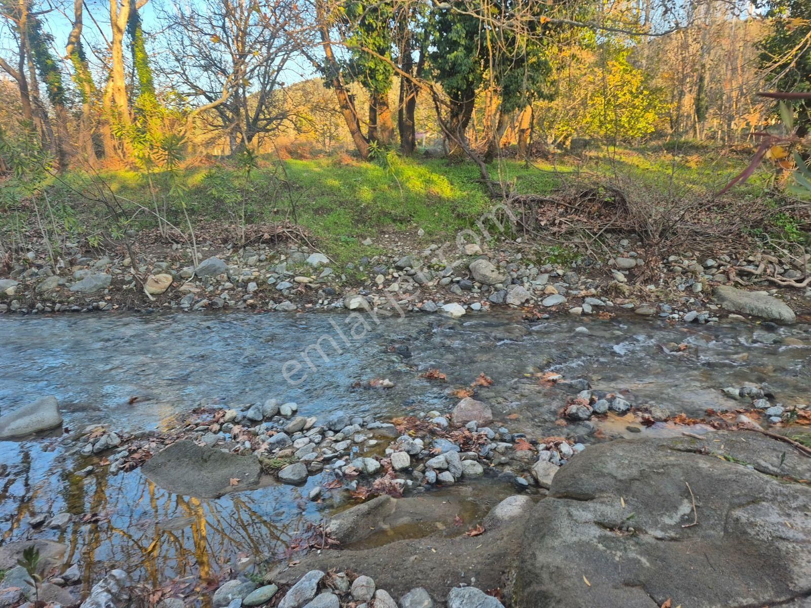 Golden Globy, Havran İnönü'de Satılık 5,5 Dönüm Bahçe - Görsel 2