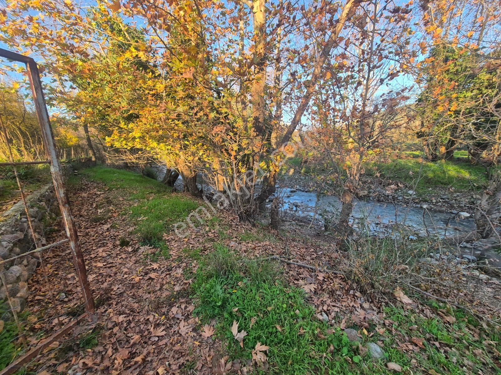 Golden Globy, Havran İnönü'de Satılık 5,5 Dönüm Bahçe - Görsel 30