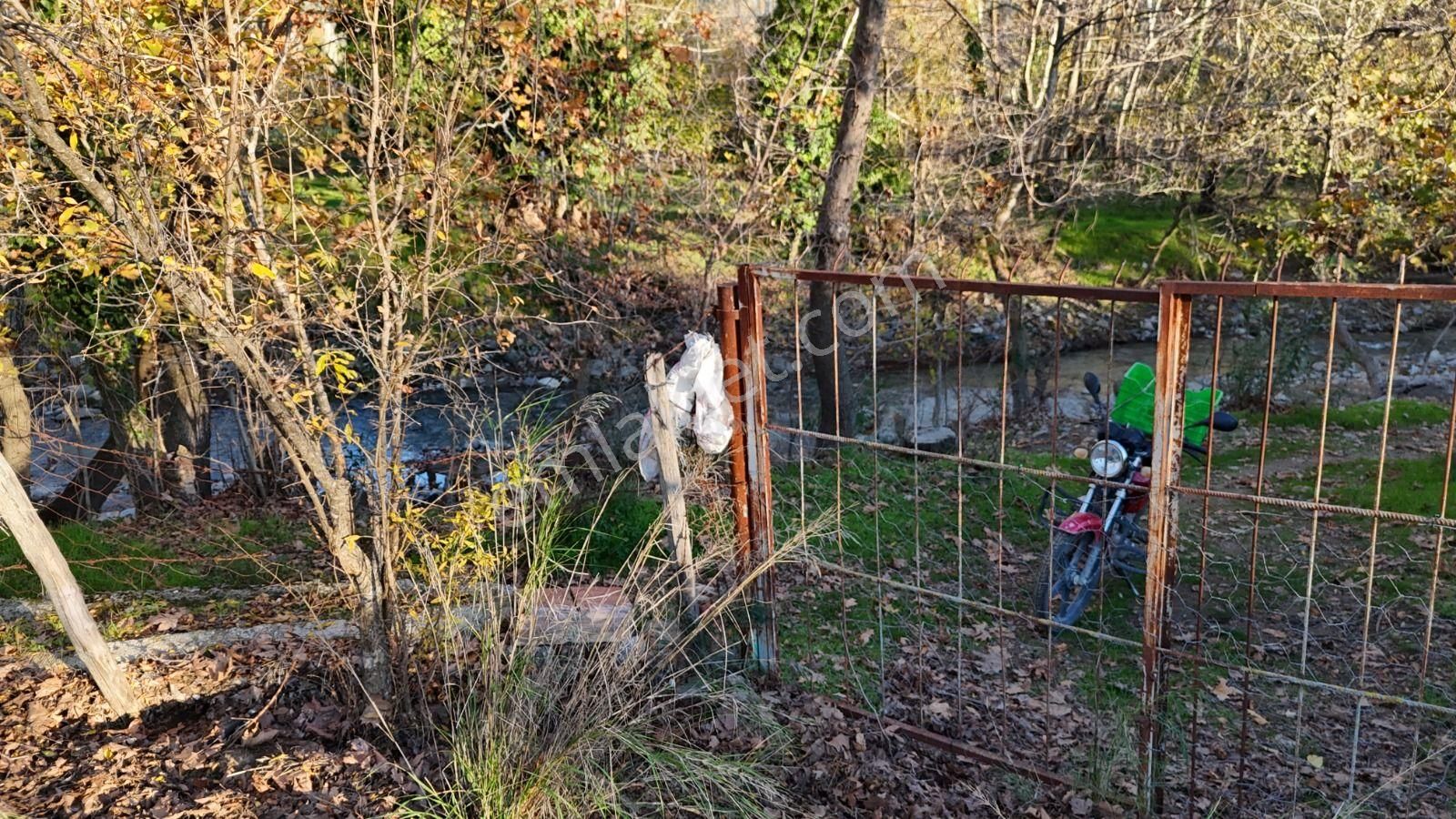 Golden Globy, Havran İnönü'de Satılık 5,5 Dönüm Bahçe - Görsel 19
