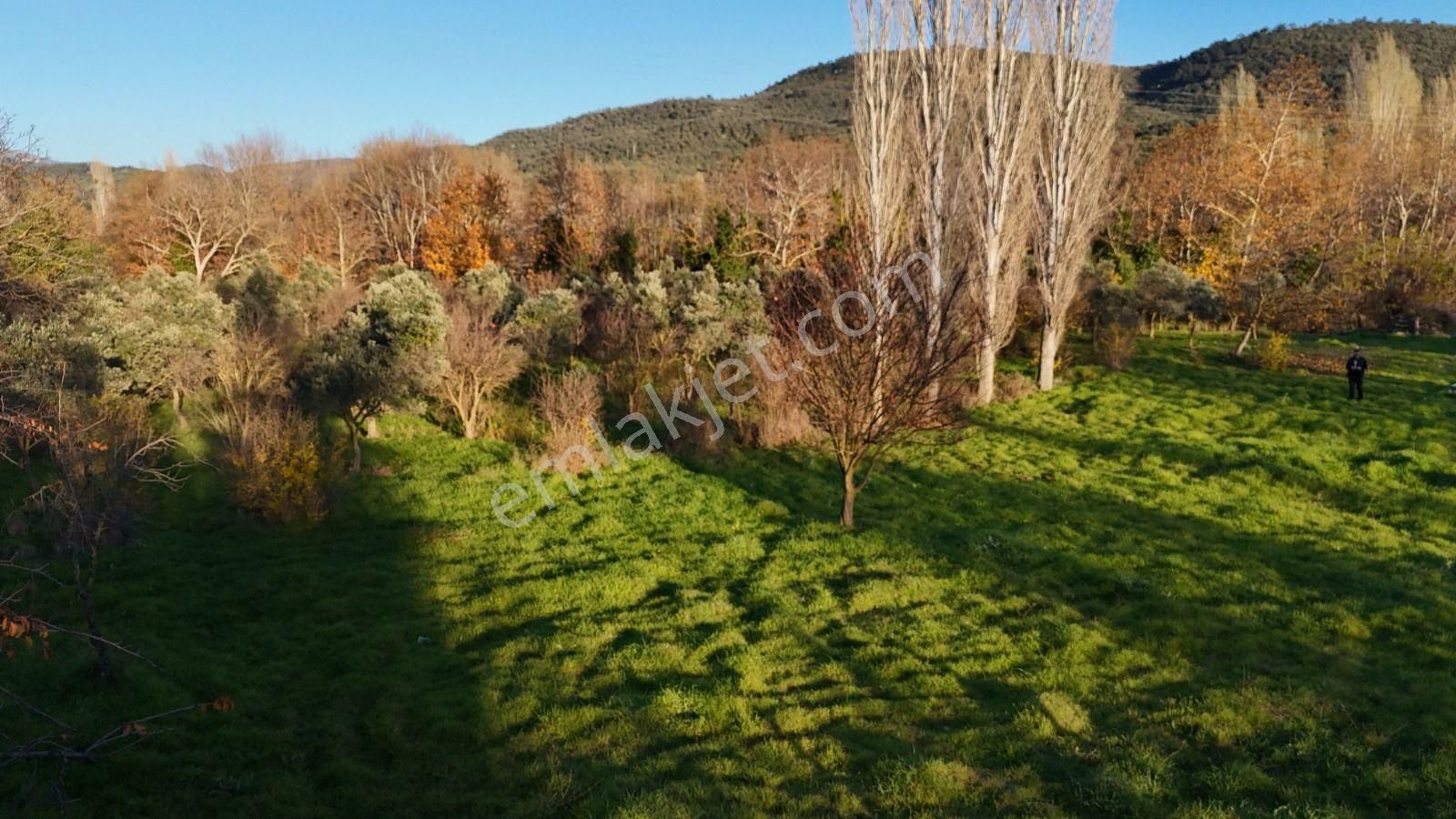 Golden Globy, Havran İnönü'de Satılık 5,5 Dönüm Bahçe - Görsel 16