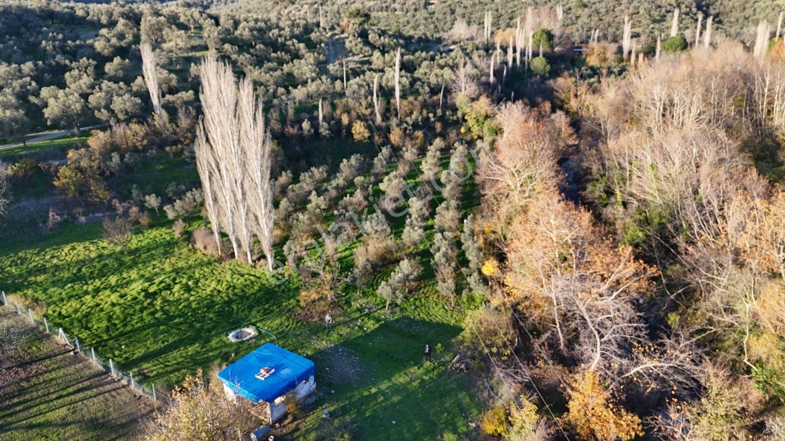 Golden Globy, Havran İnönü'de Satılık 5,5 Dönüm Bahçe - Görsel 29